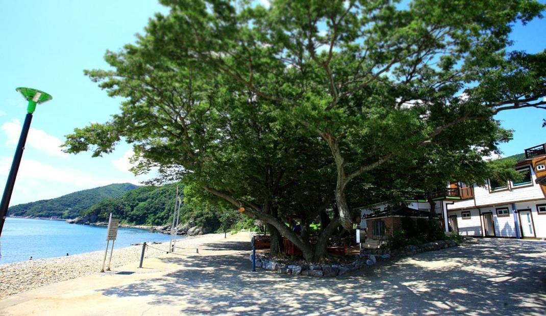 Namhae Pinky Marine Pension