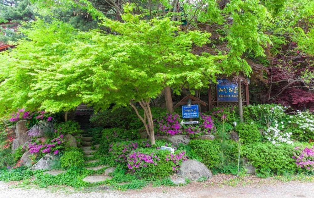 Hoengseong Cabin Town Pension
