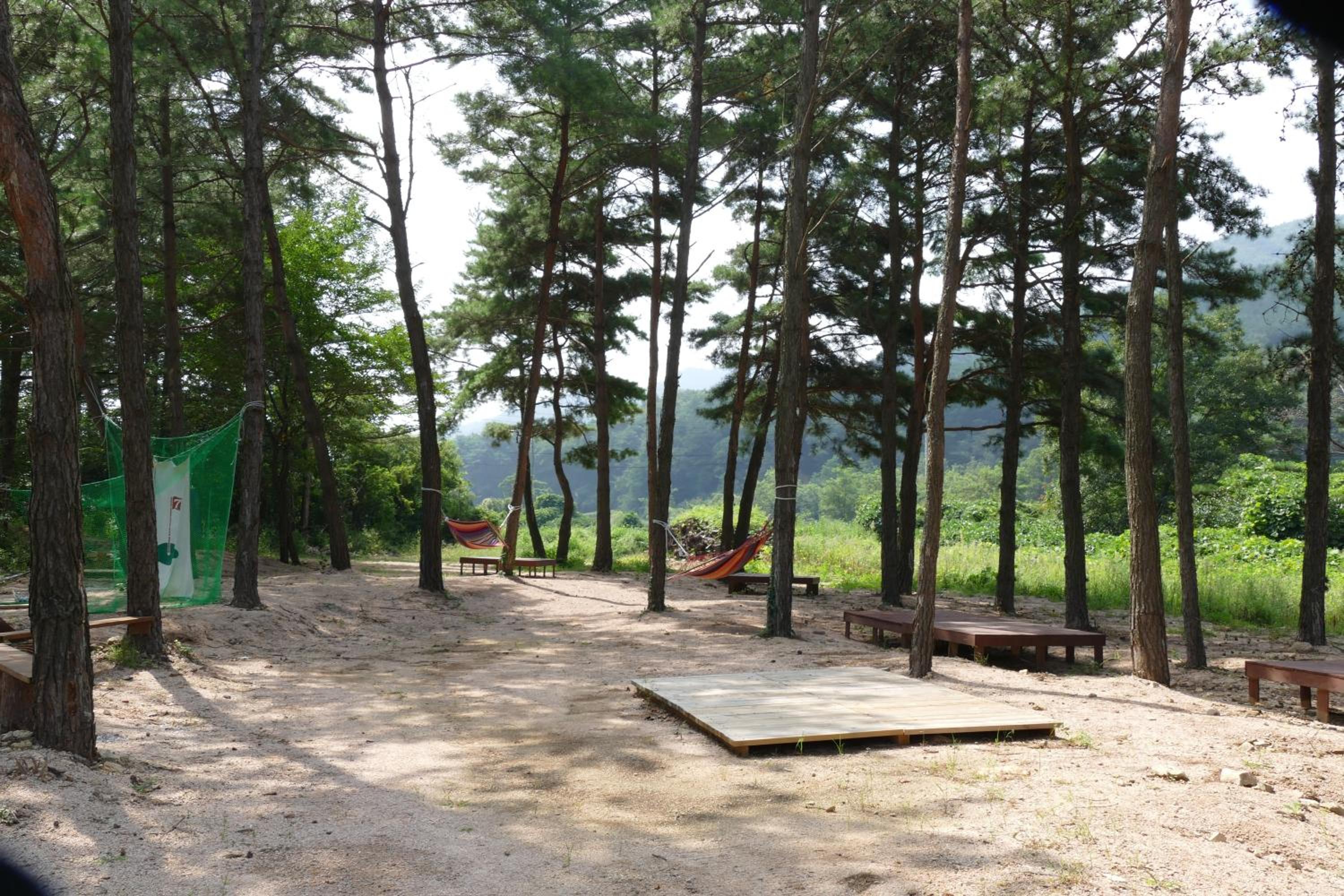 sangju yeoyurounhwangtojib pensyeon