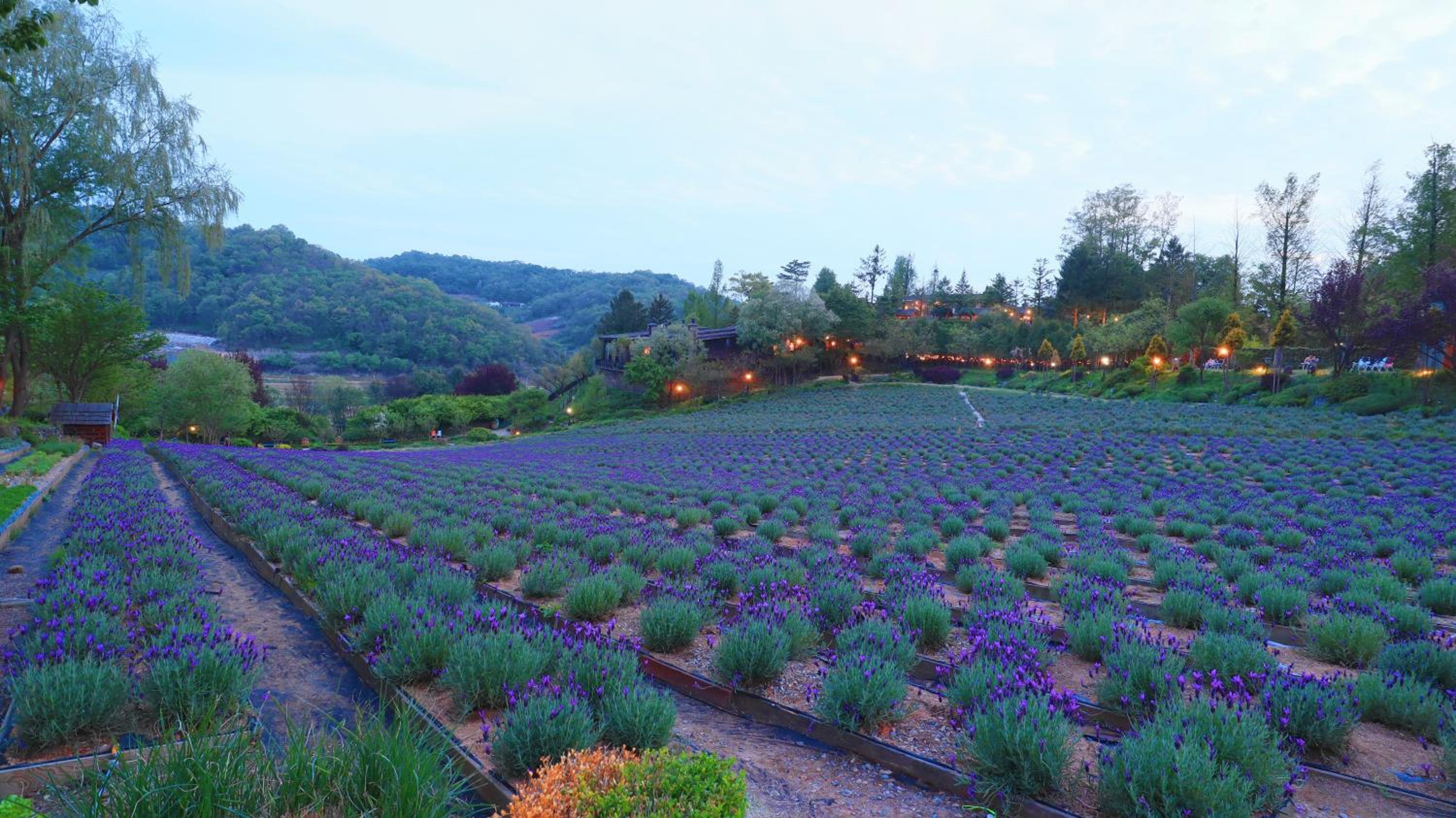 Herb Village view 5