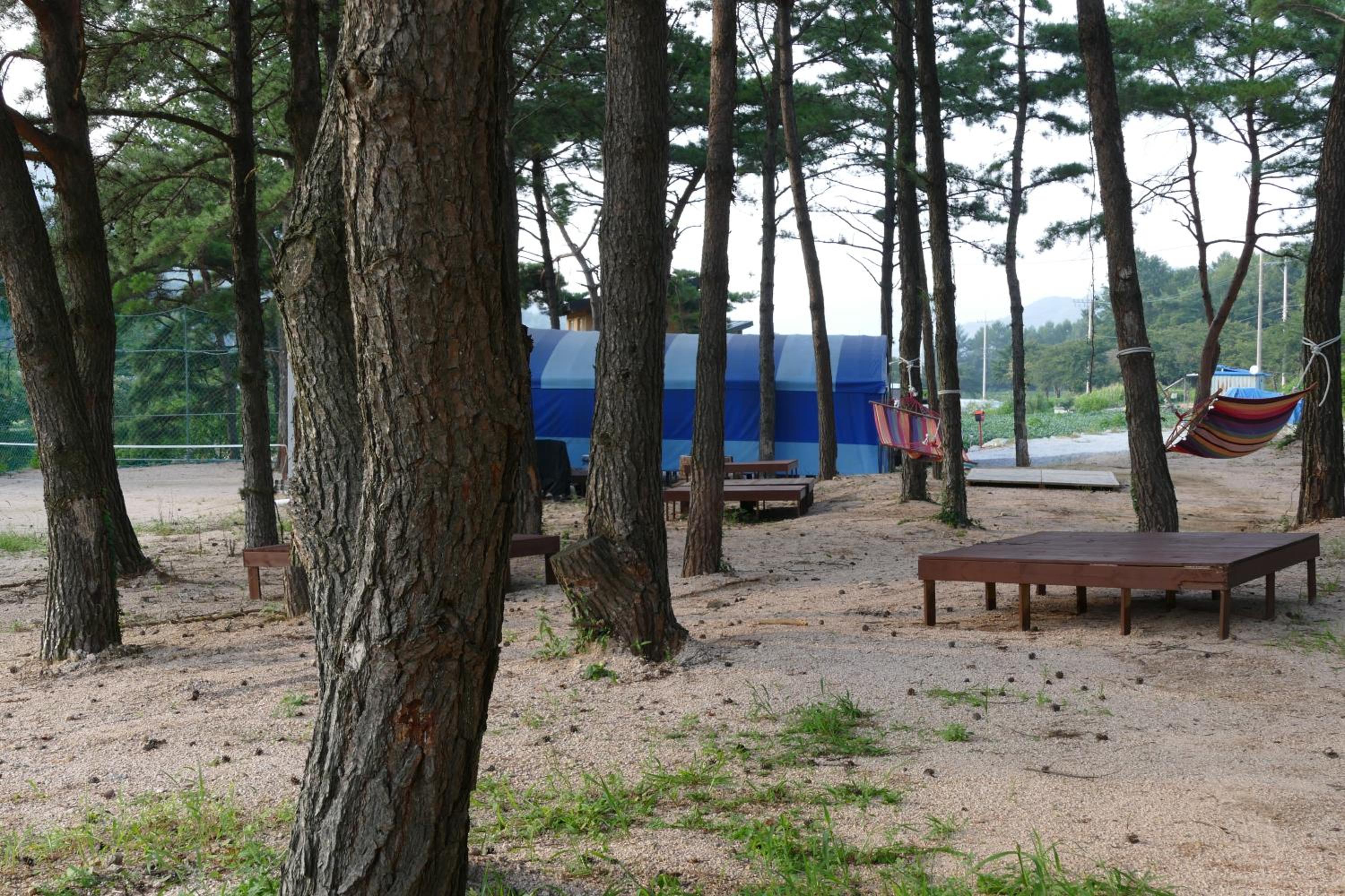 sangju yeoyurounhwangtojib pensyeon
