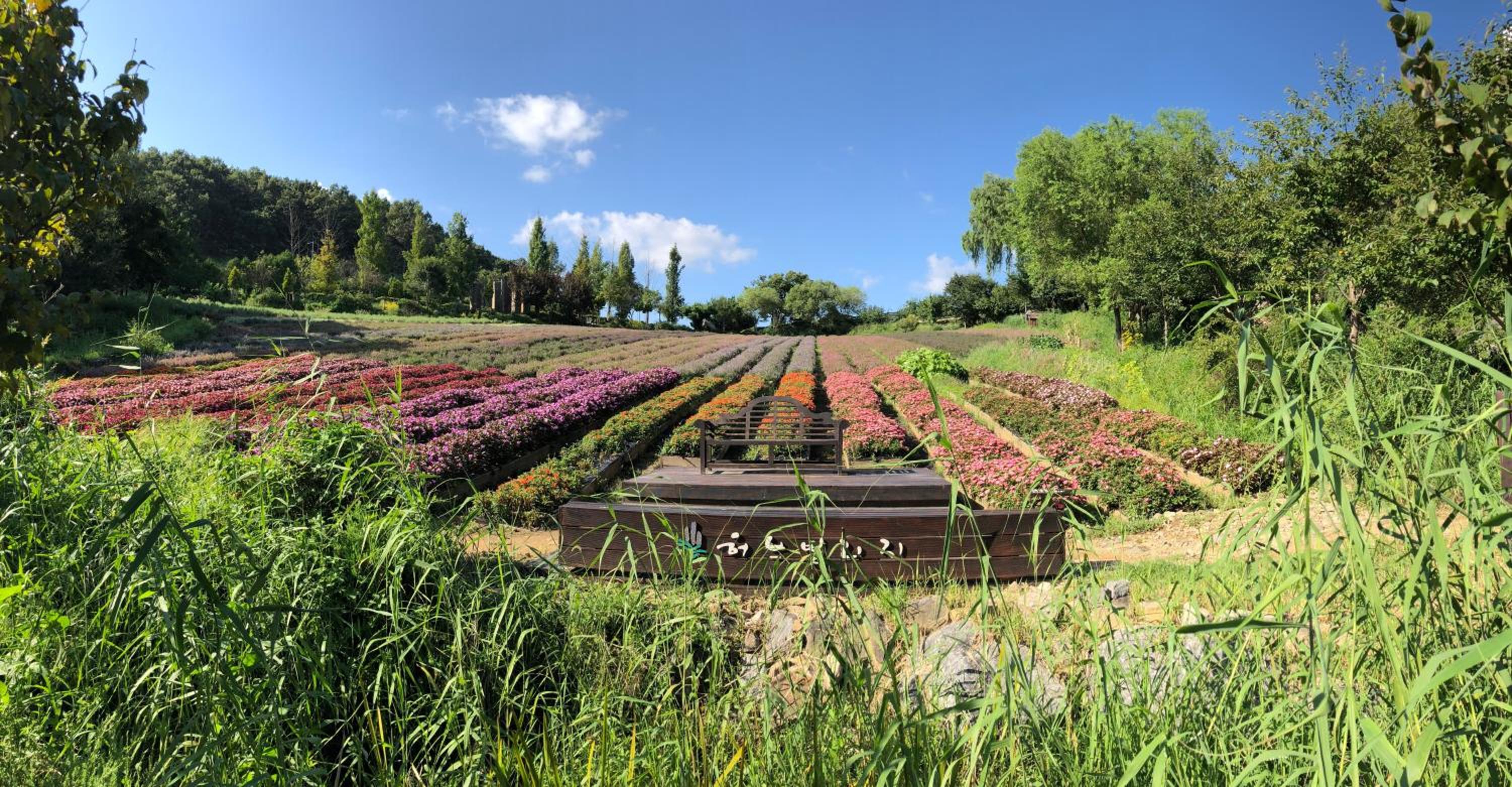 Herb Village view 3