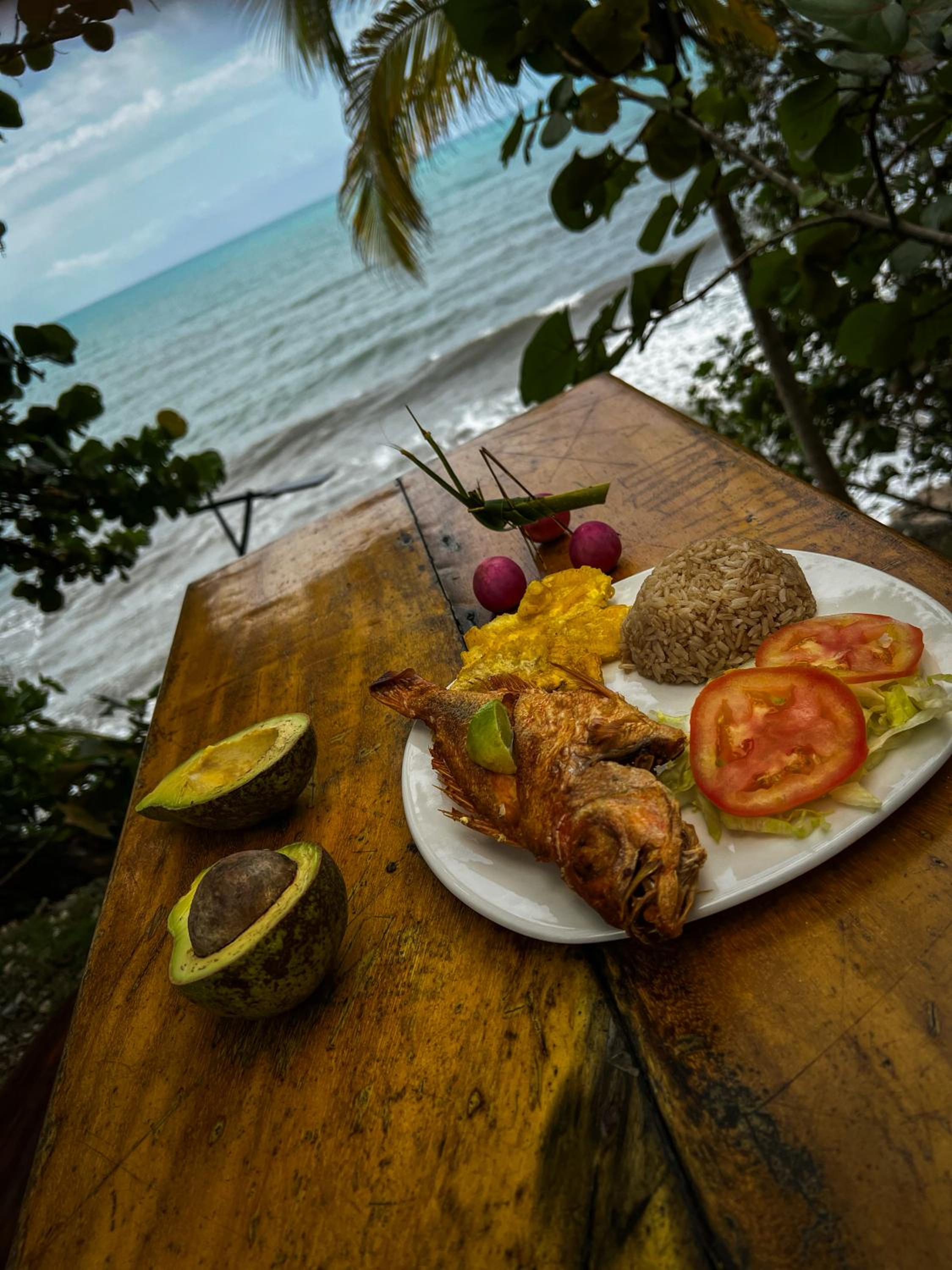 Los Achiotes Hostal - Palomino