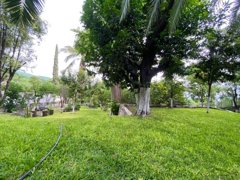 Cuernavaca quinta