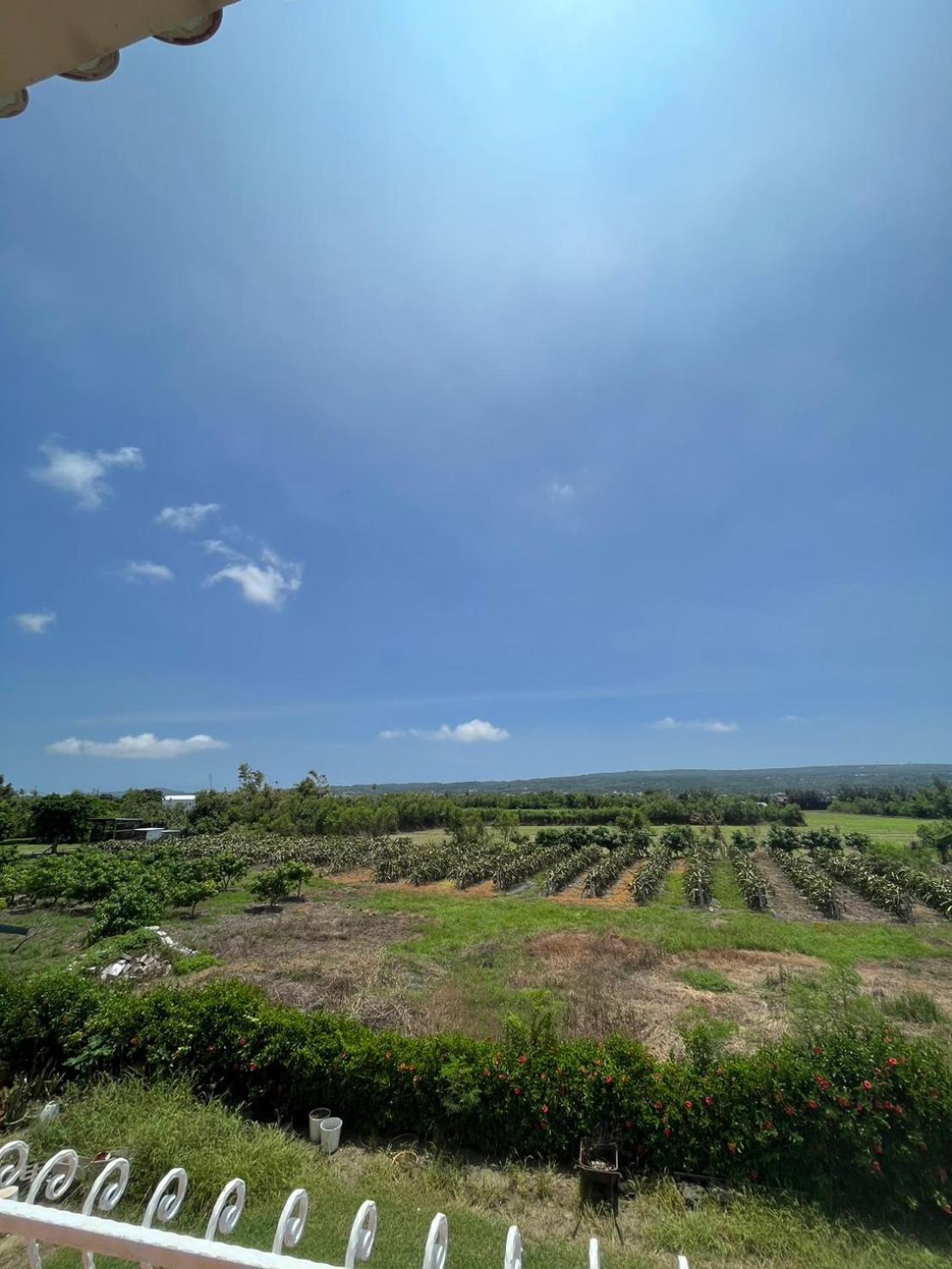 Kenting Avignon
