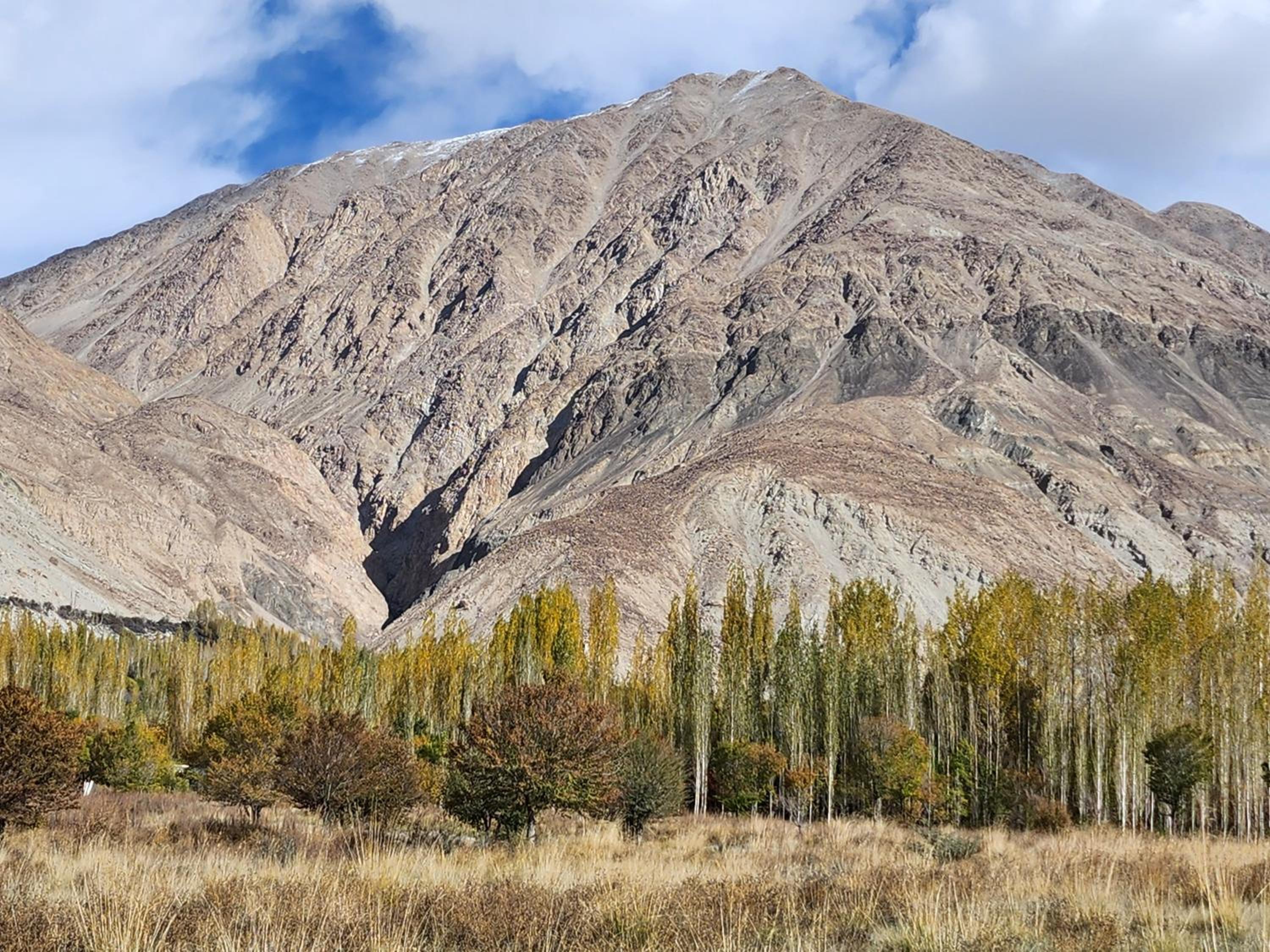 Photo 42