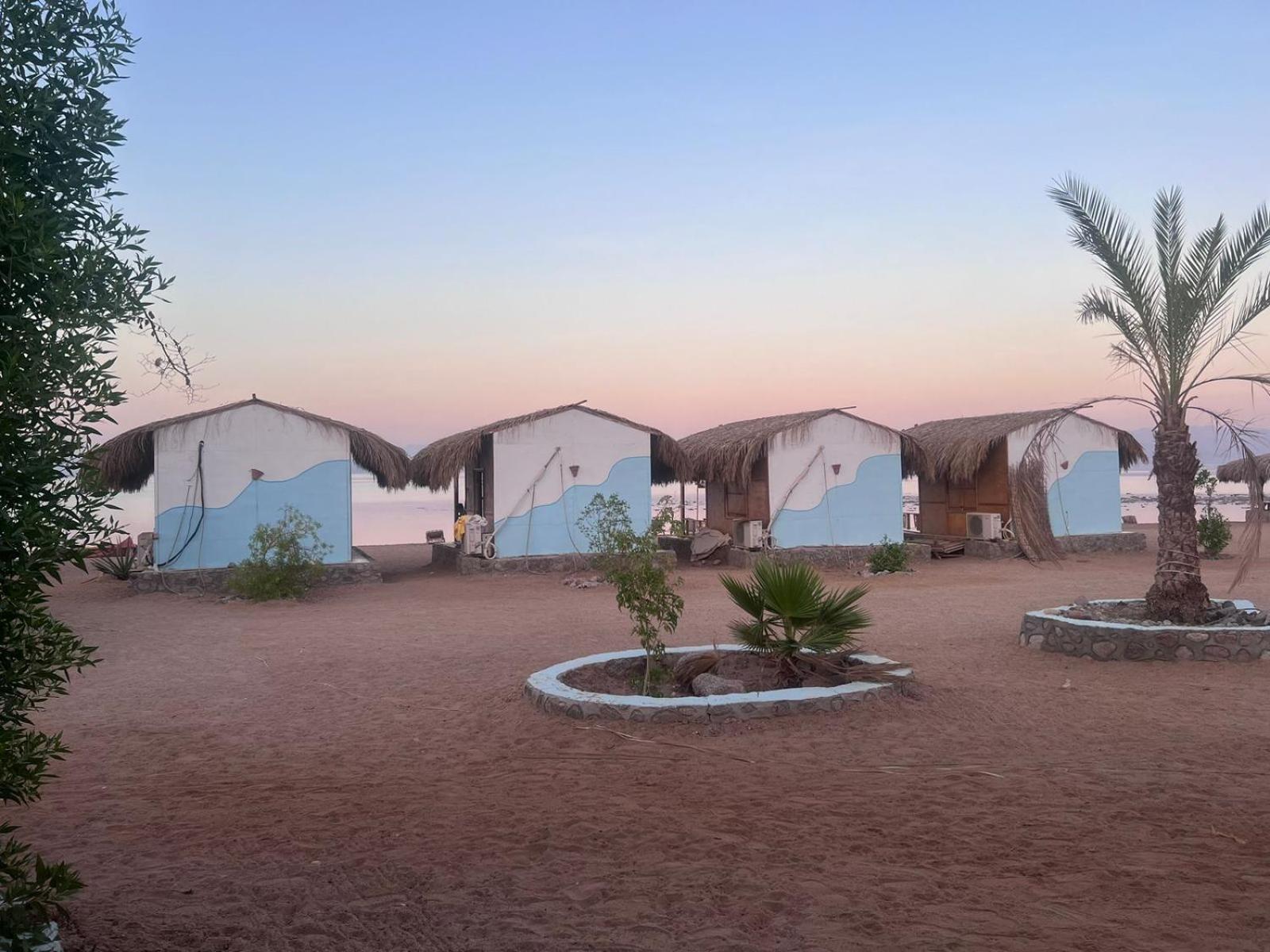 Salt water Camp Nuweiba view 2