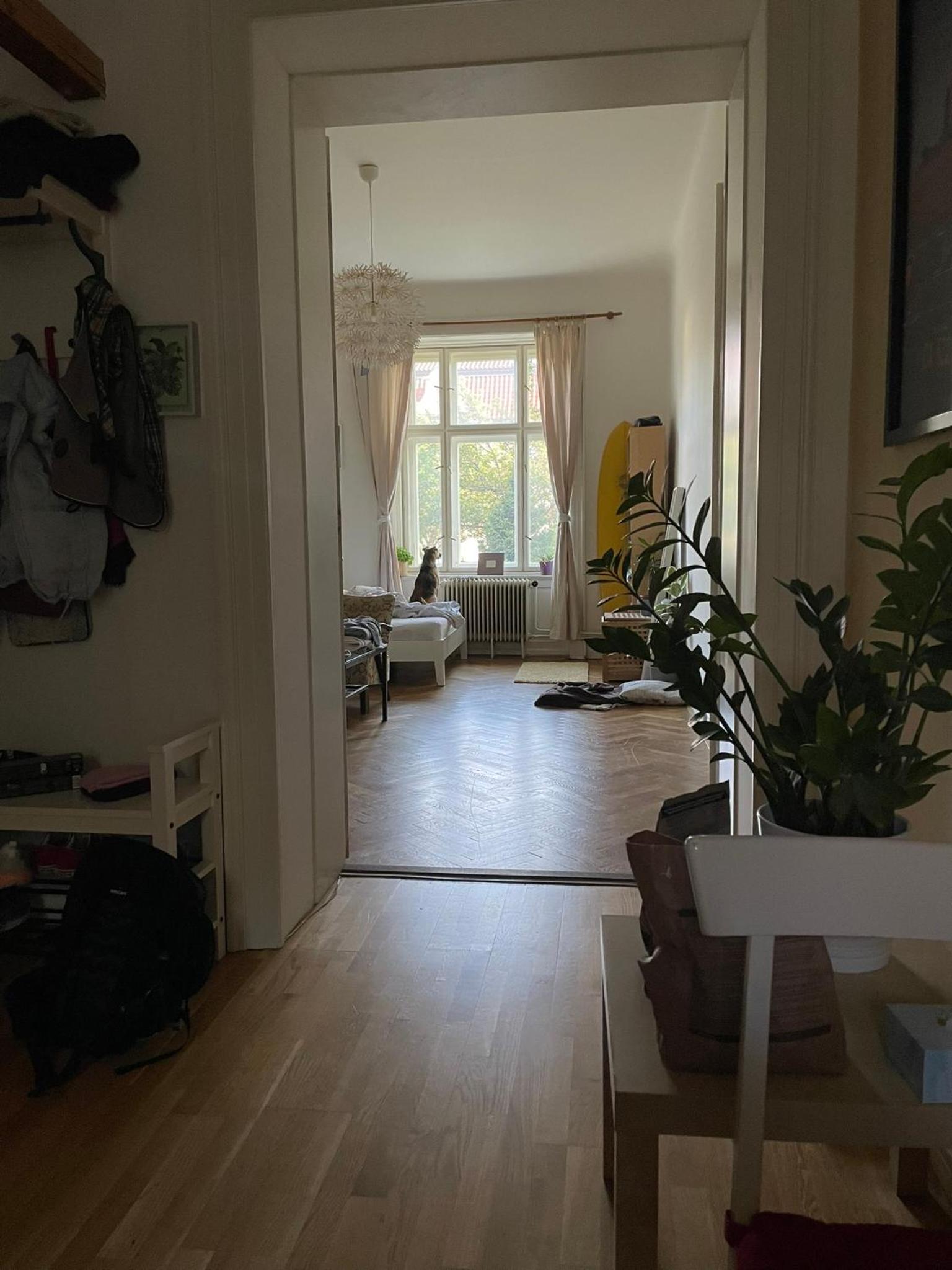 Great appartment in Vinohrady