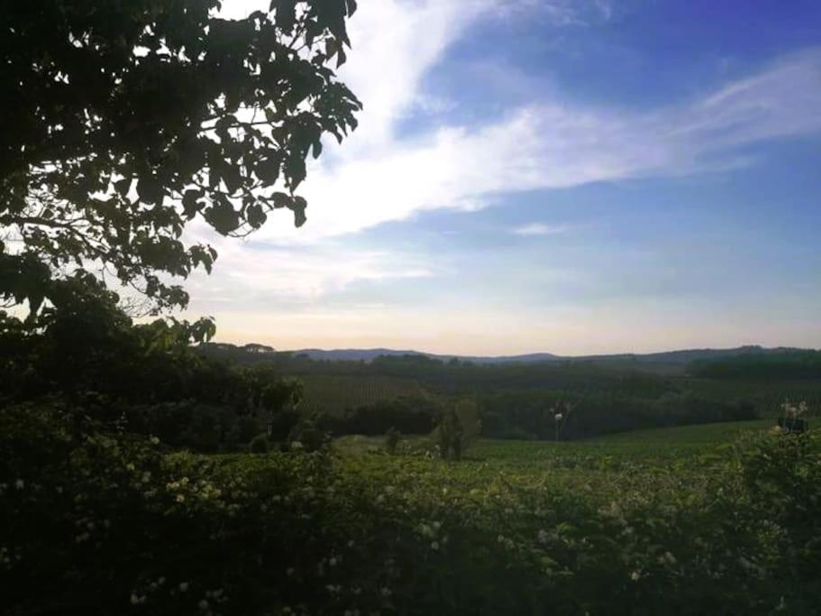 Borgo Di Vino