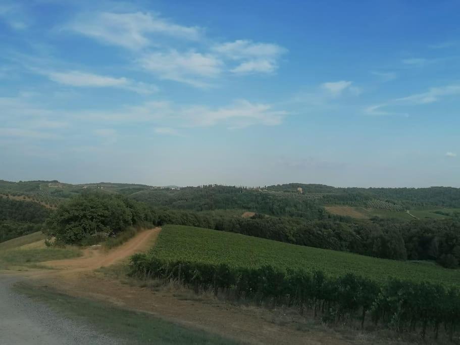 Borgo Di Vino