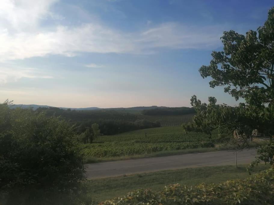 Borgo Di Vino