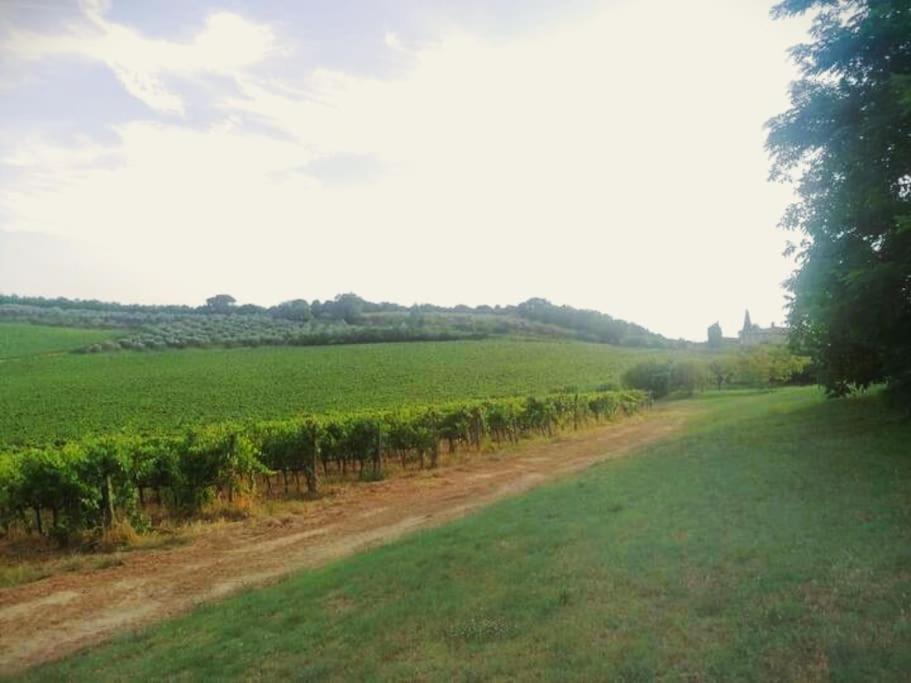 Borgo Di Vino