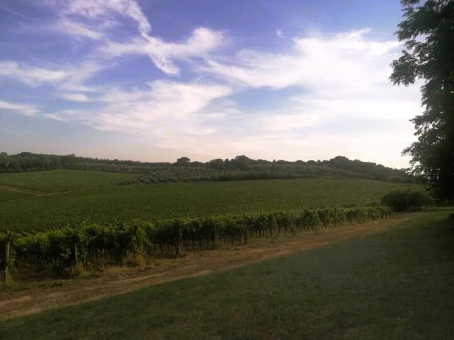 Borgo Di Vino