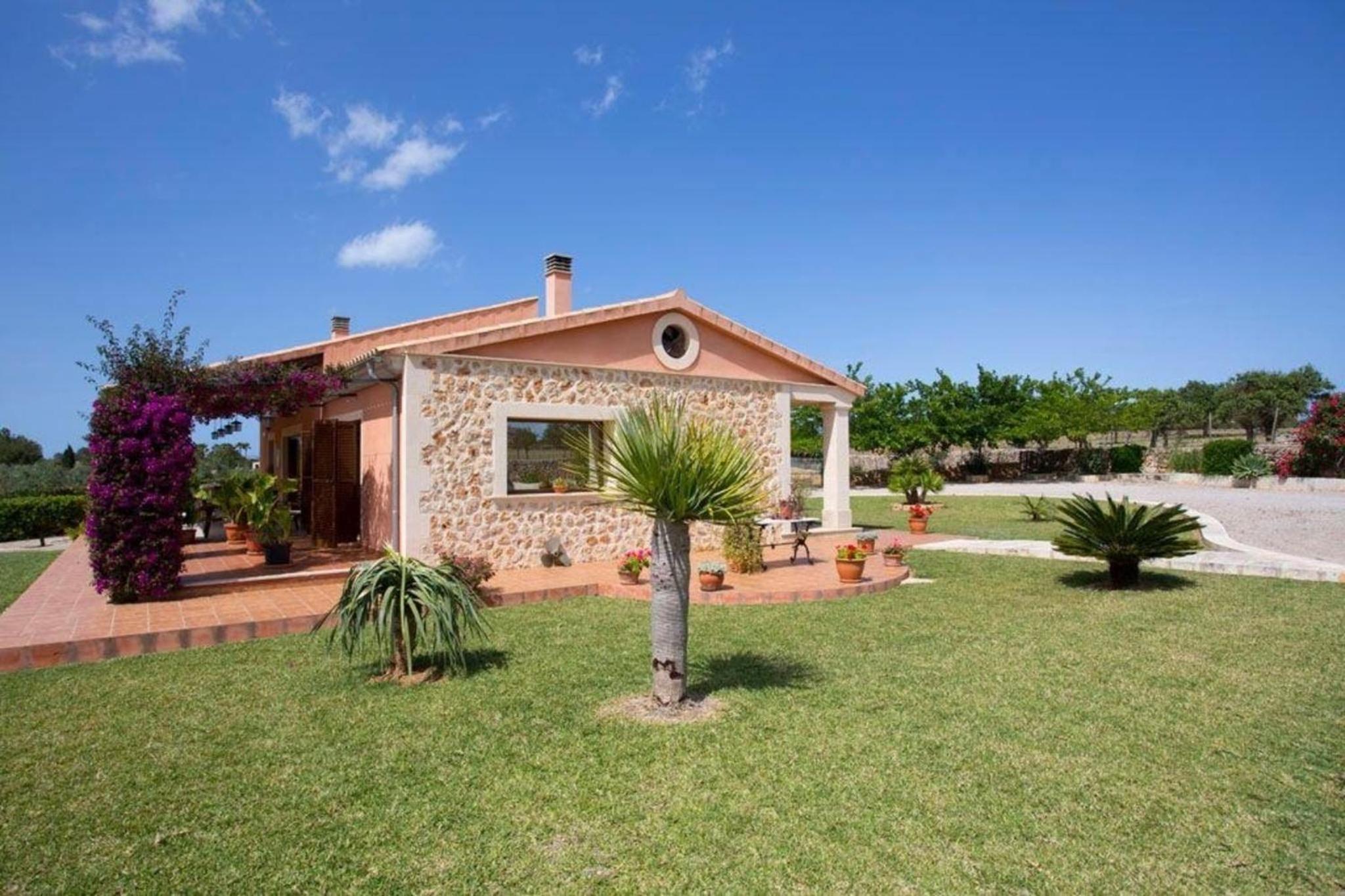 Schöne Finca mit Pool im Olivenhain