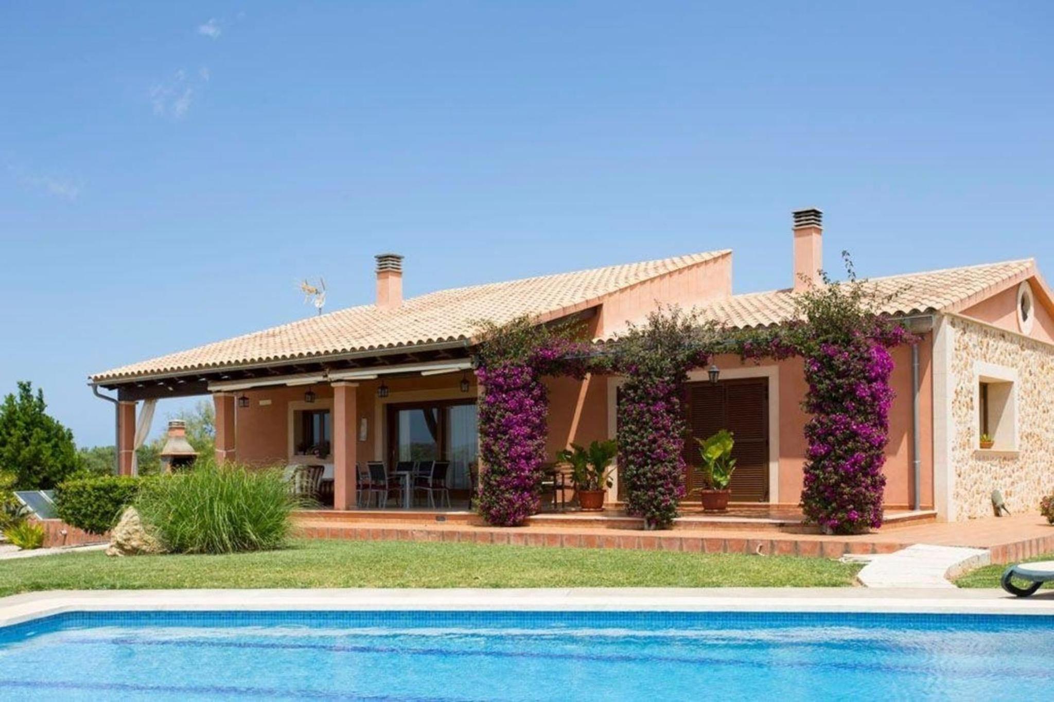 Schöne Finca mit Pool im Olivenhain