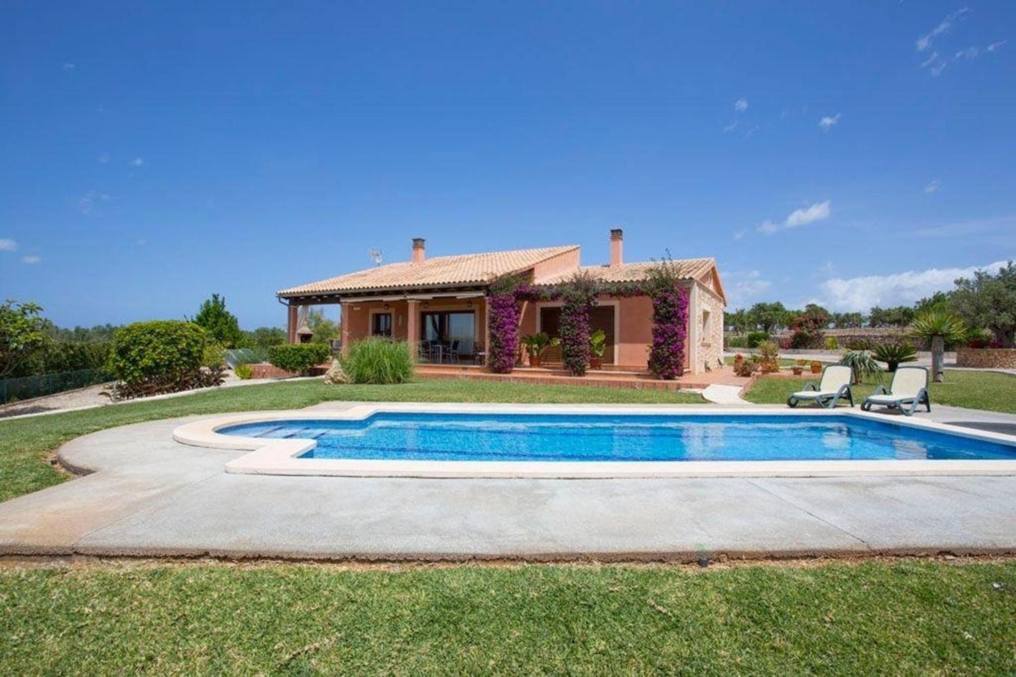 Schöne Finca mit Pool im Olivenhain
