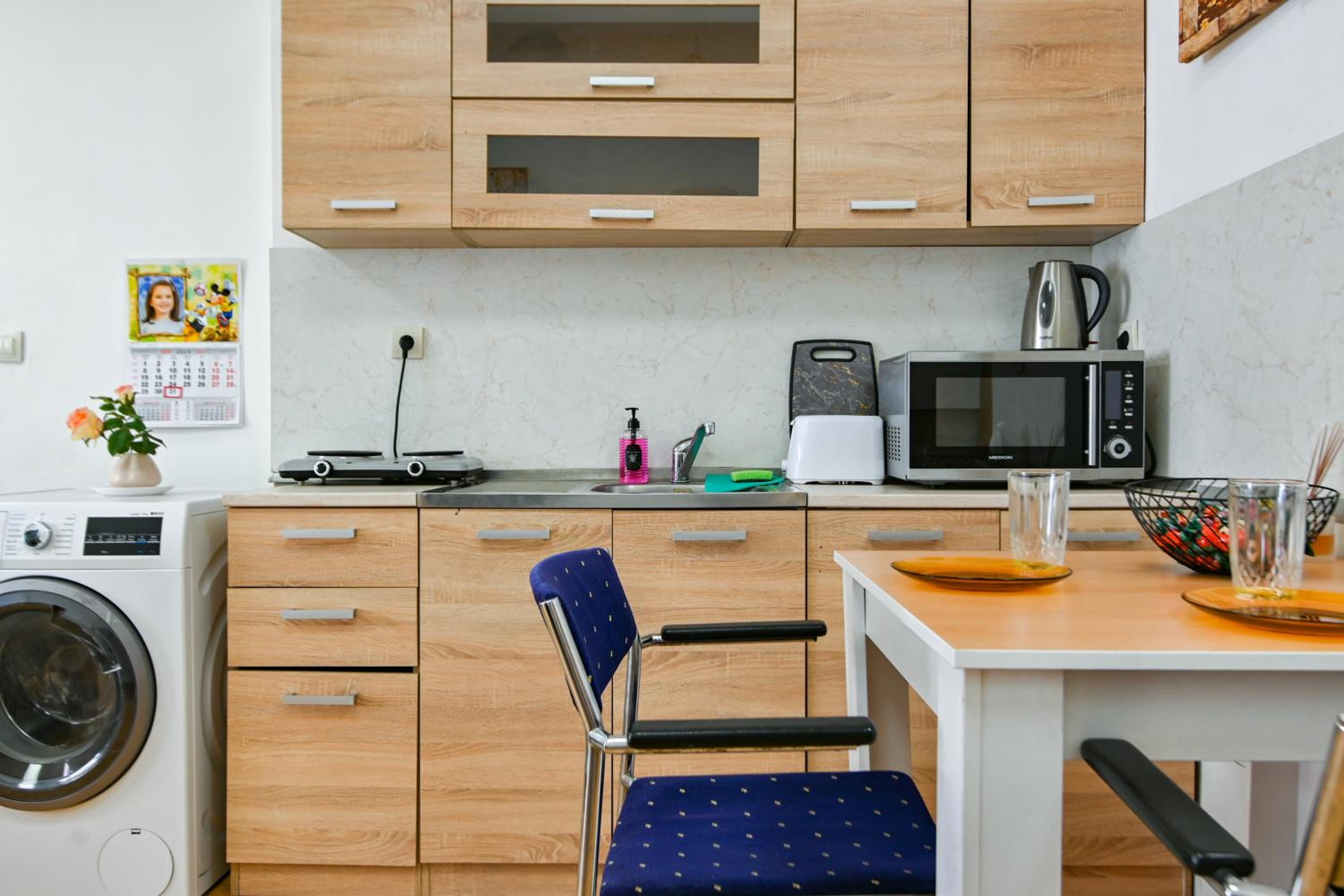 Cozy apartment in central Sofia
