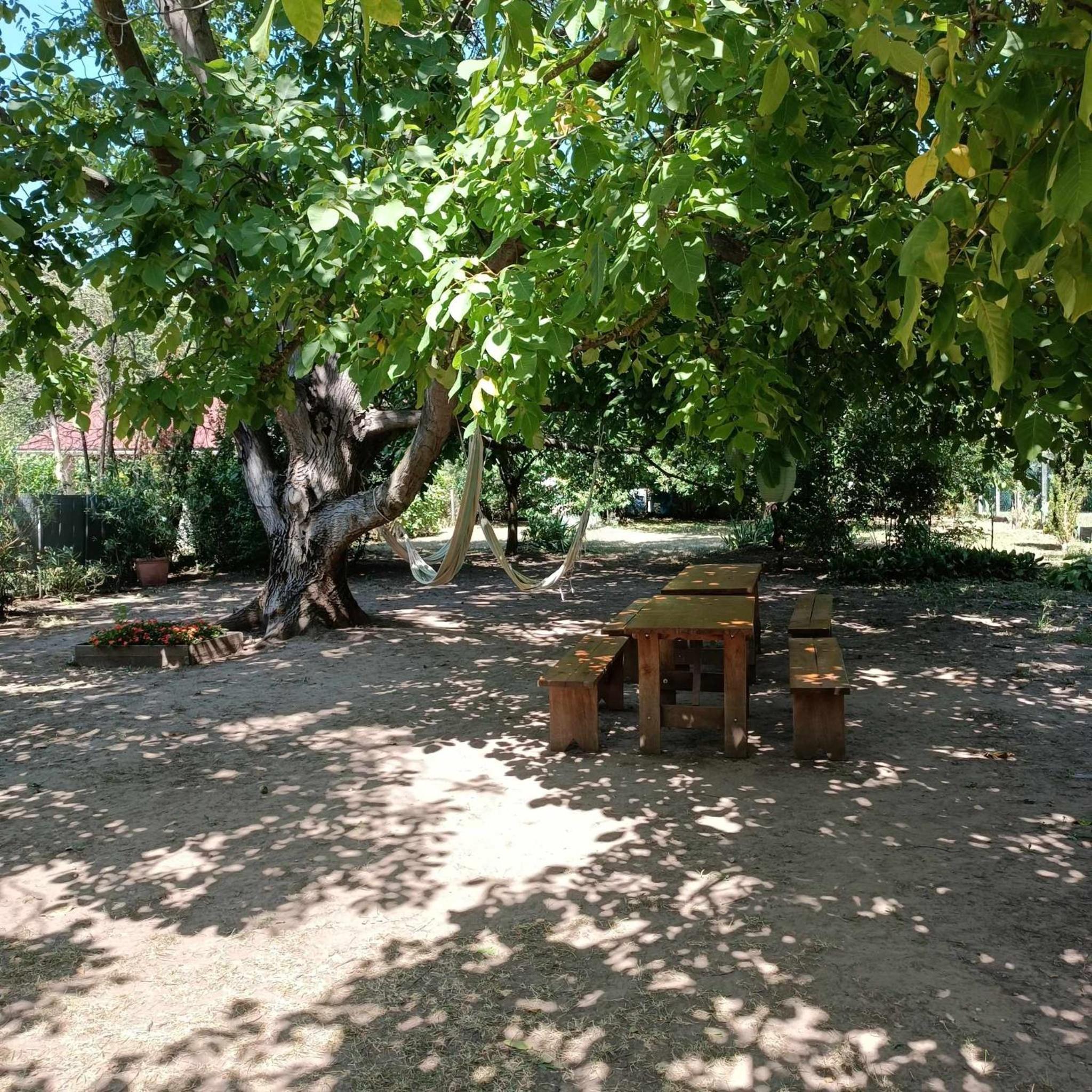 Photo 32