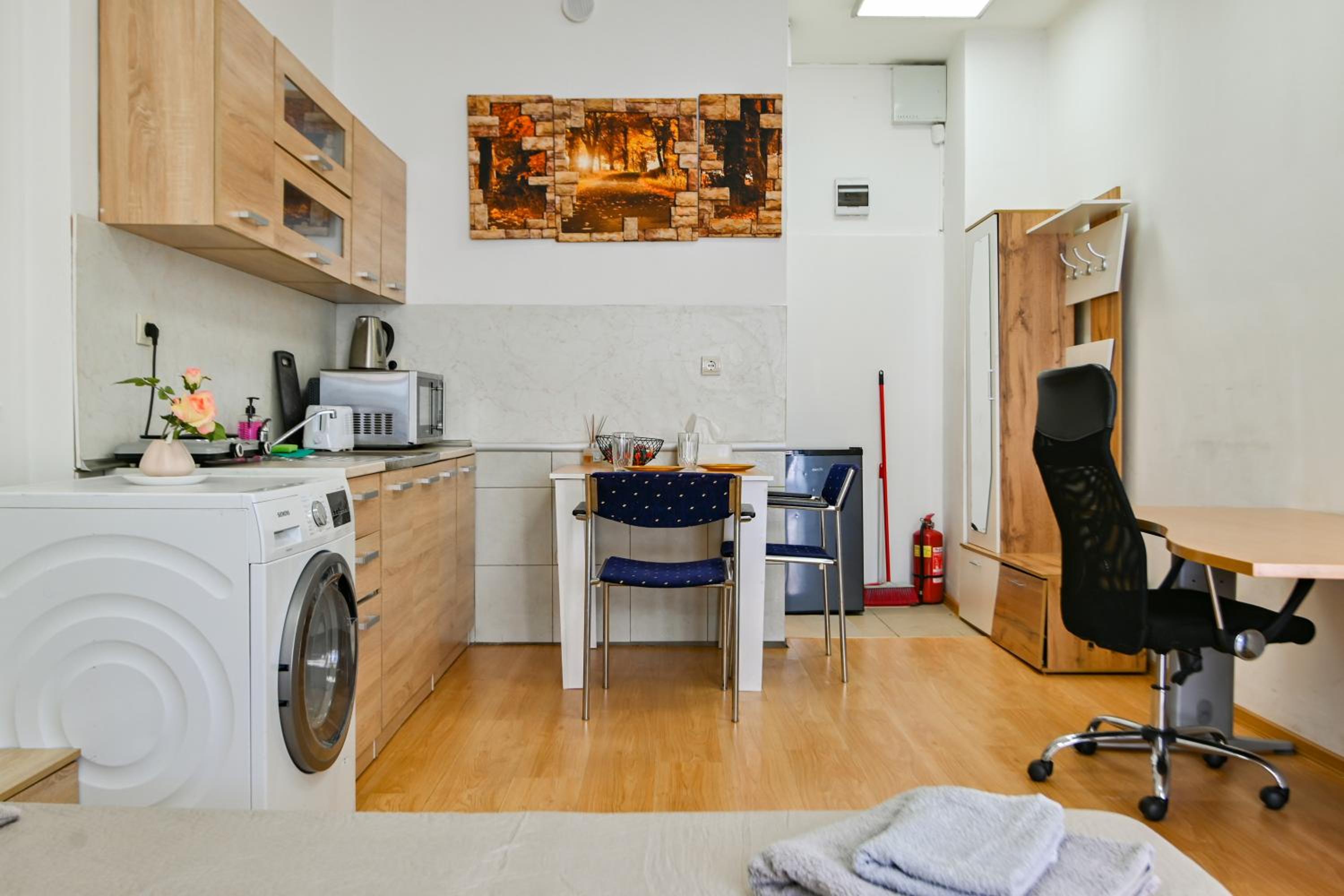 Cozy apartment in central Sofia