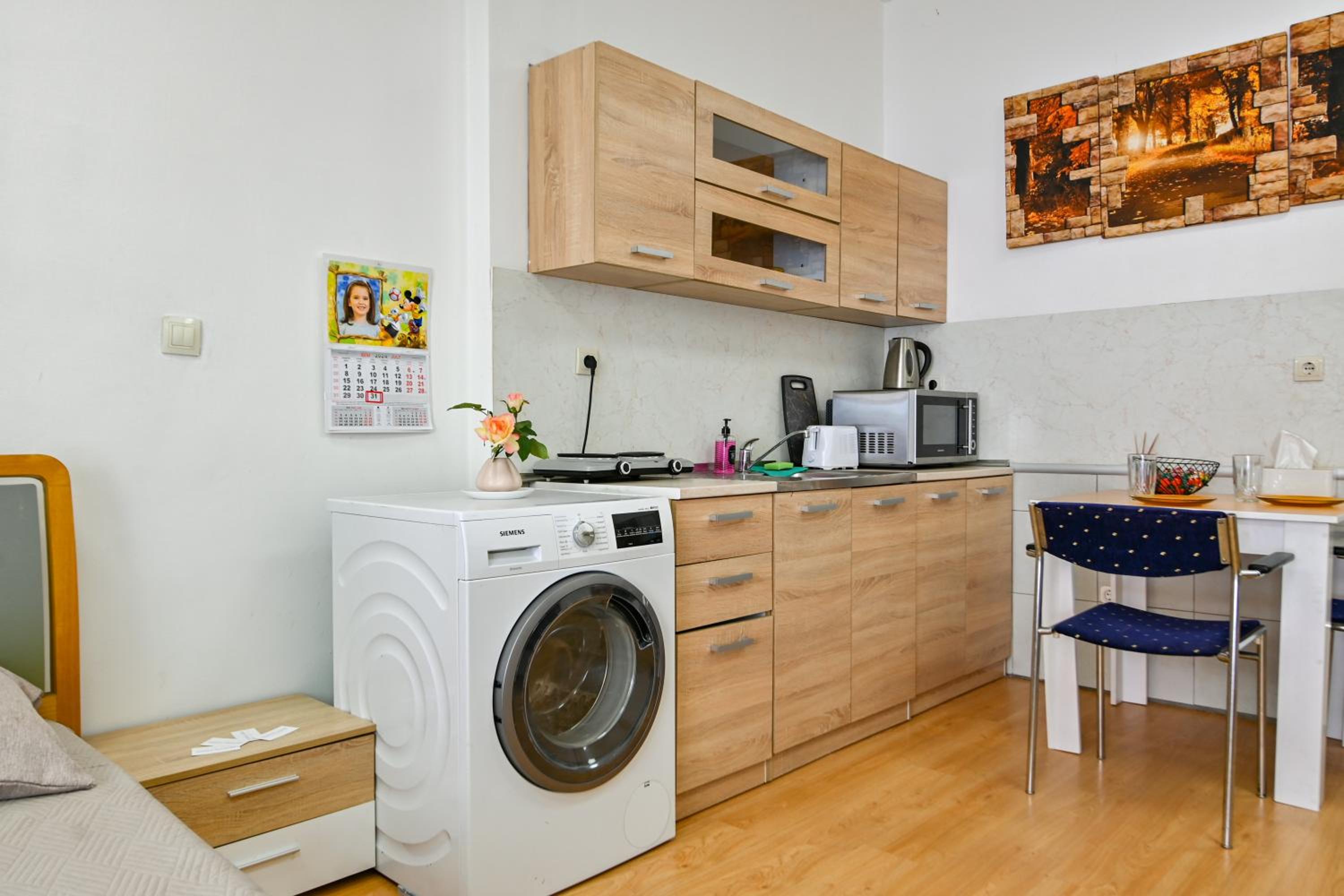Cozy apartment in central Sofia