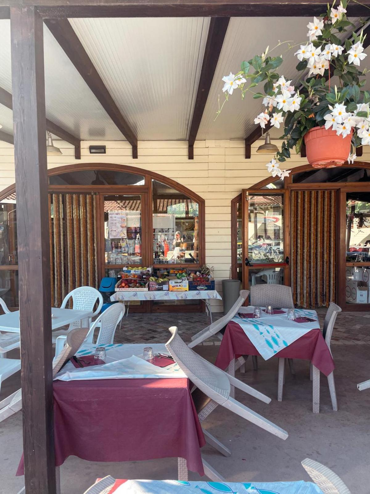 Viareggio Vacations - Glamping tent with bathroom - Tuscany next to sea! - Property Image 2