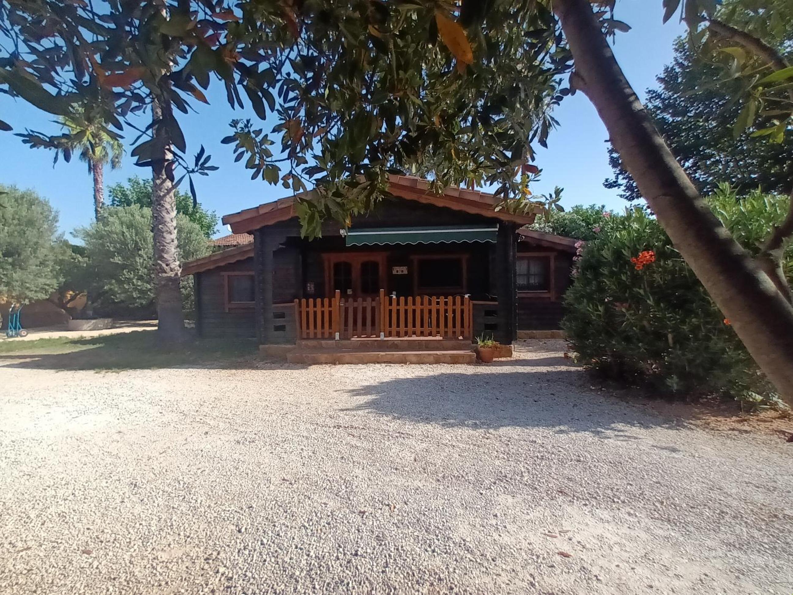 Entre Viejos Olivos