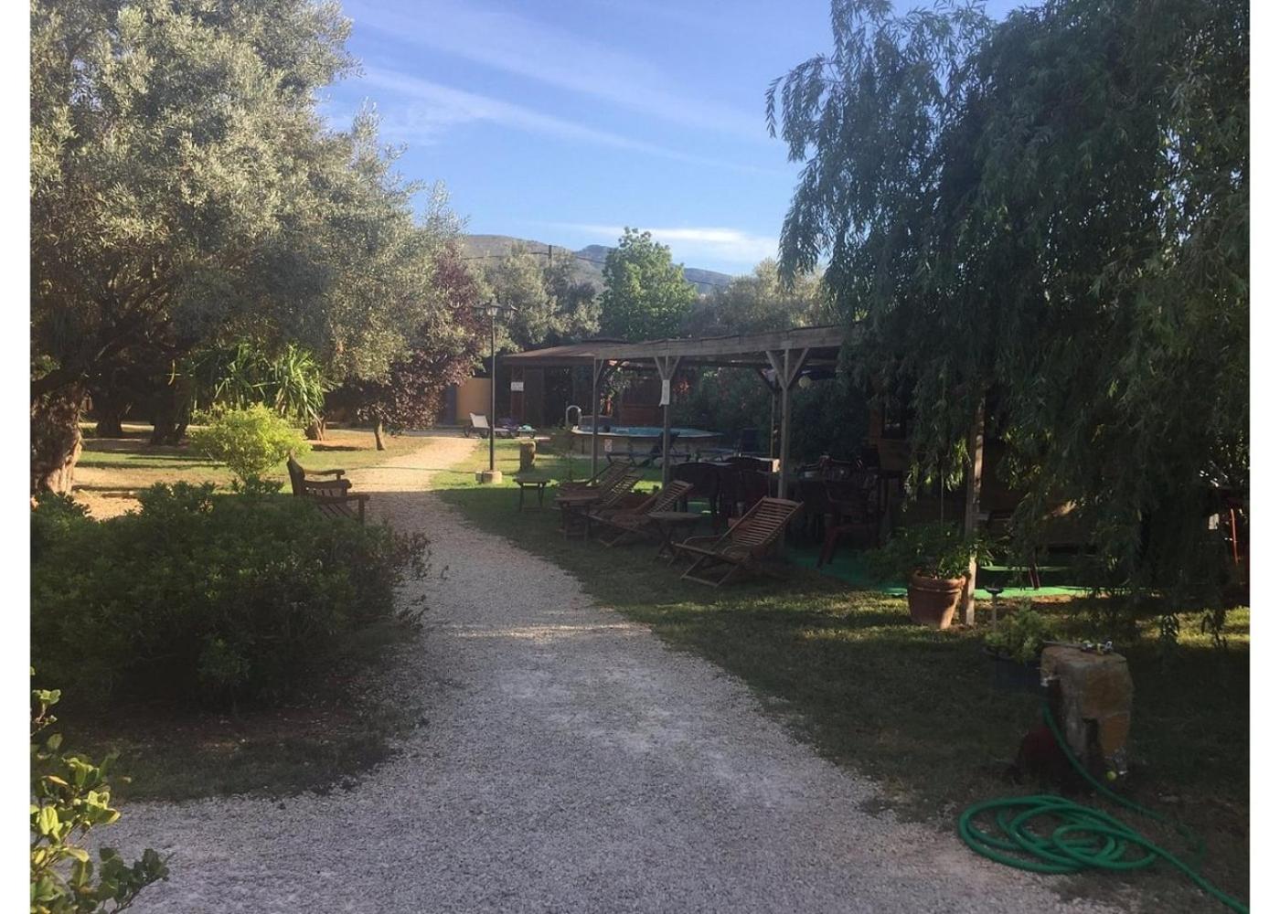 Entre Viejos Olivos