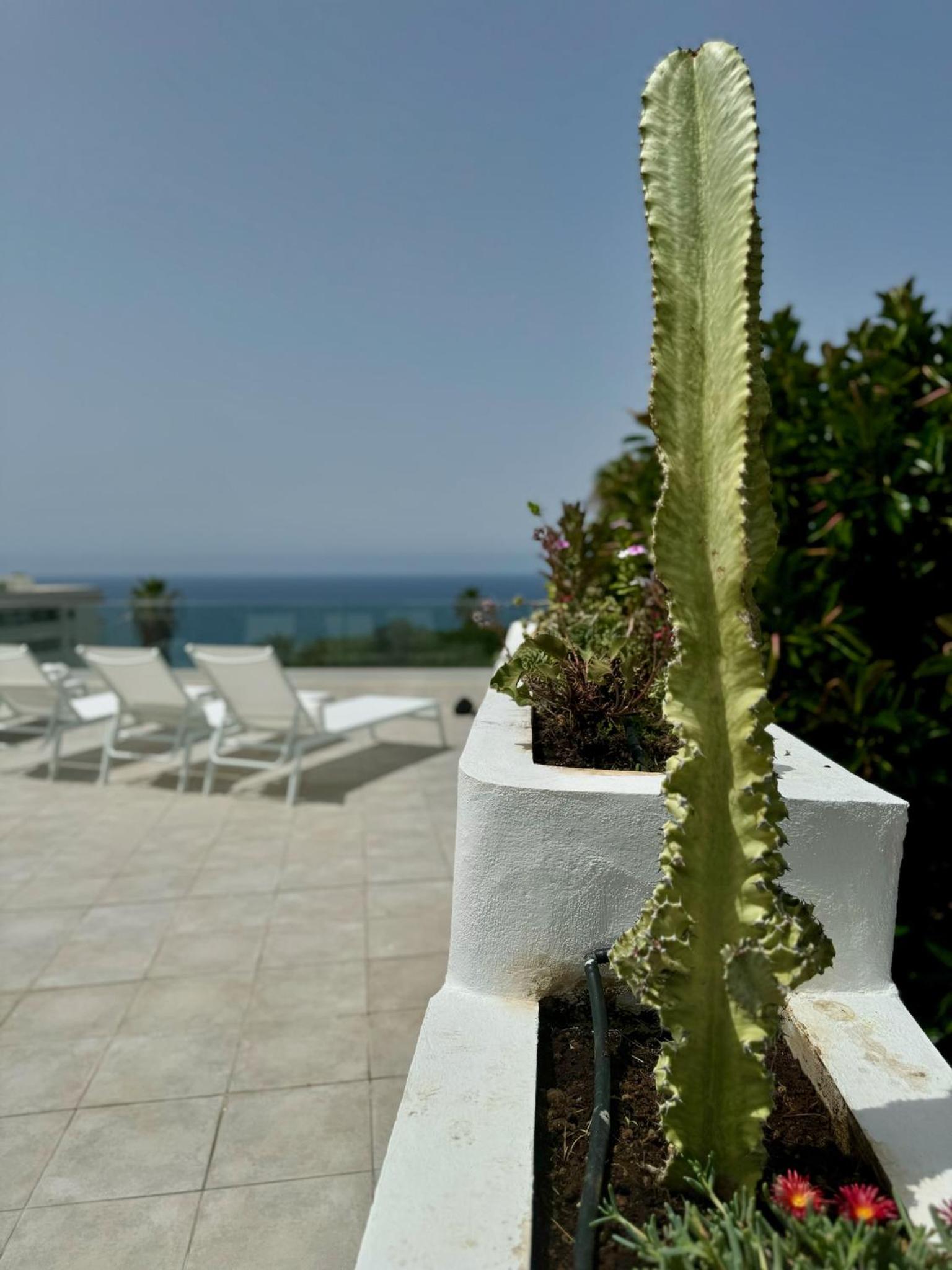 Zen Ocean View House Tenerife