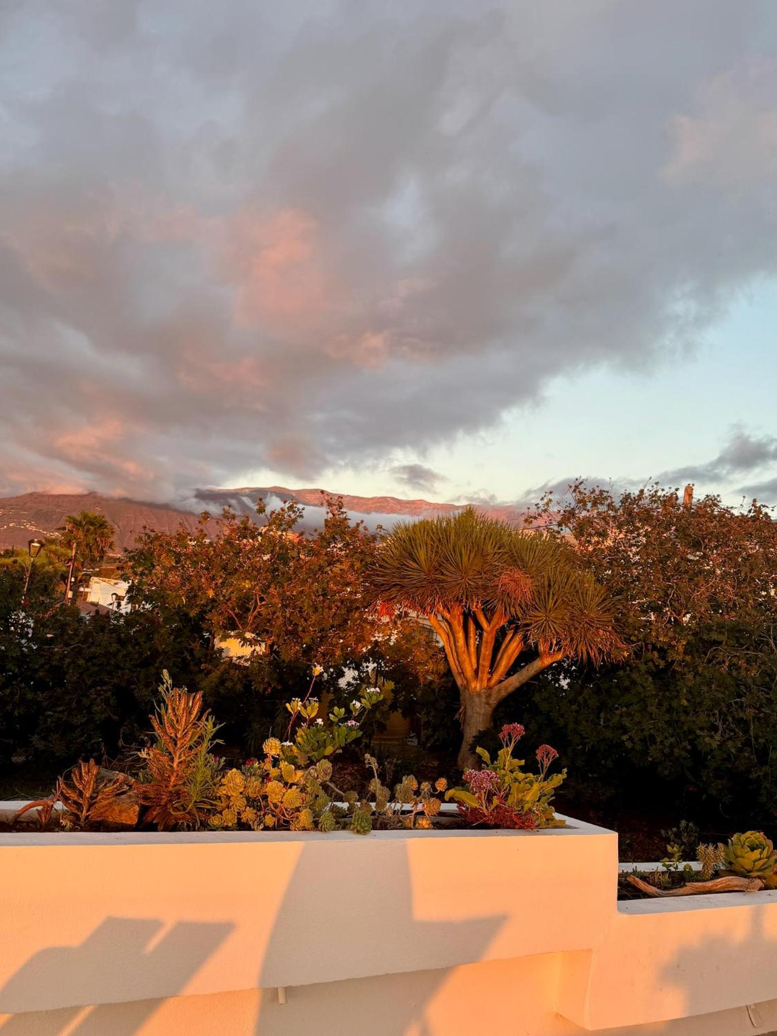 Zen Ocean View House Tenerife