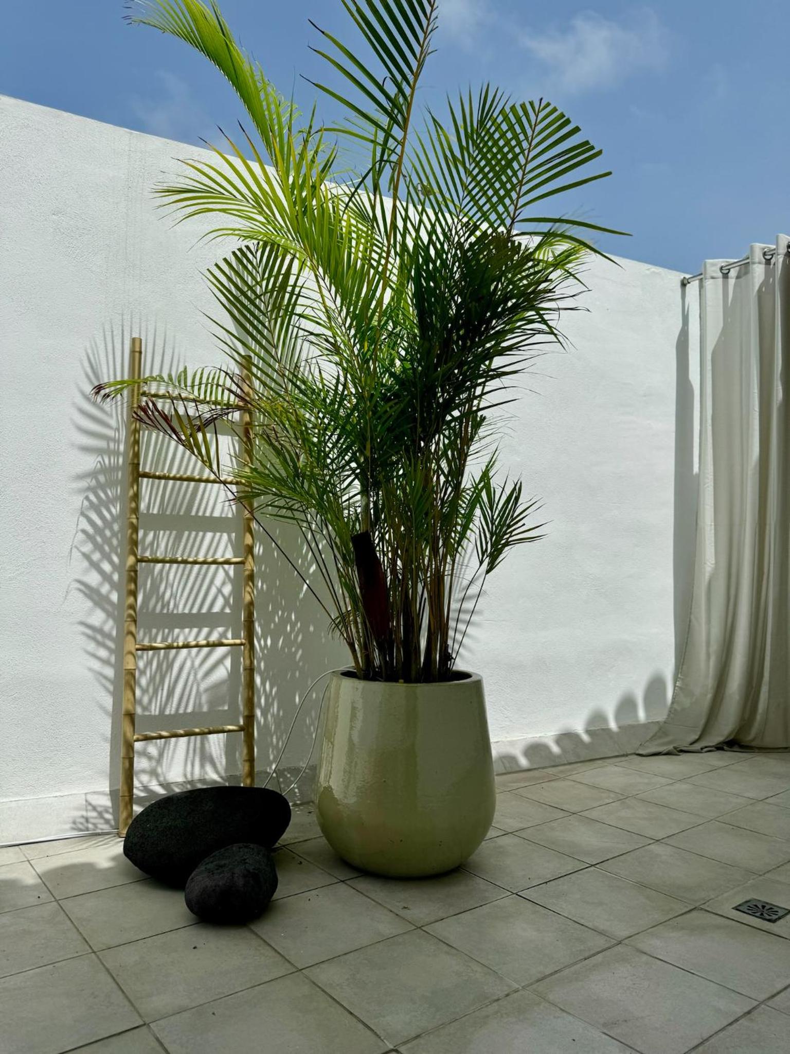 Zen Ocean View House Tenerife
