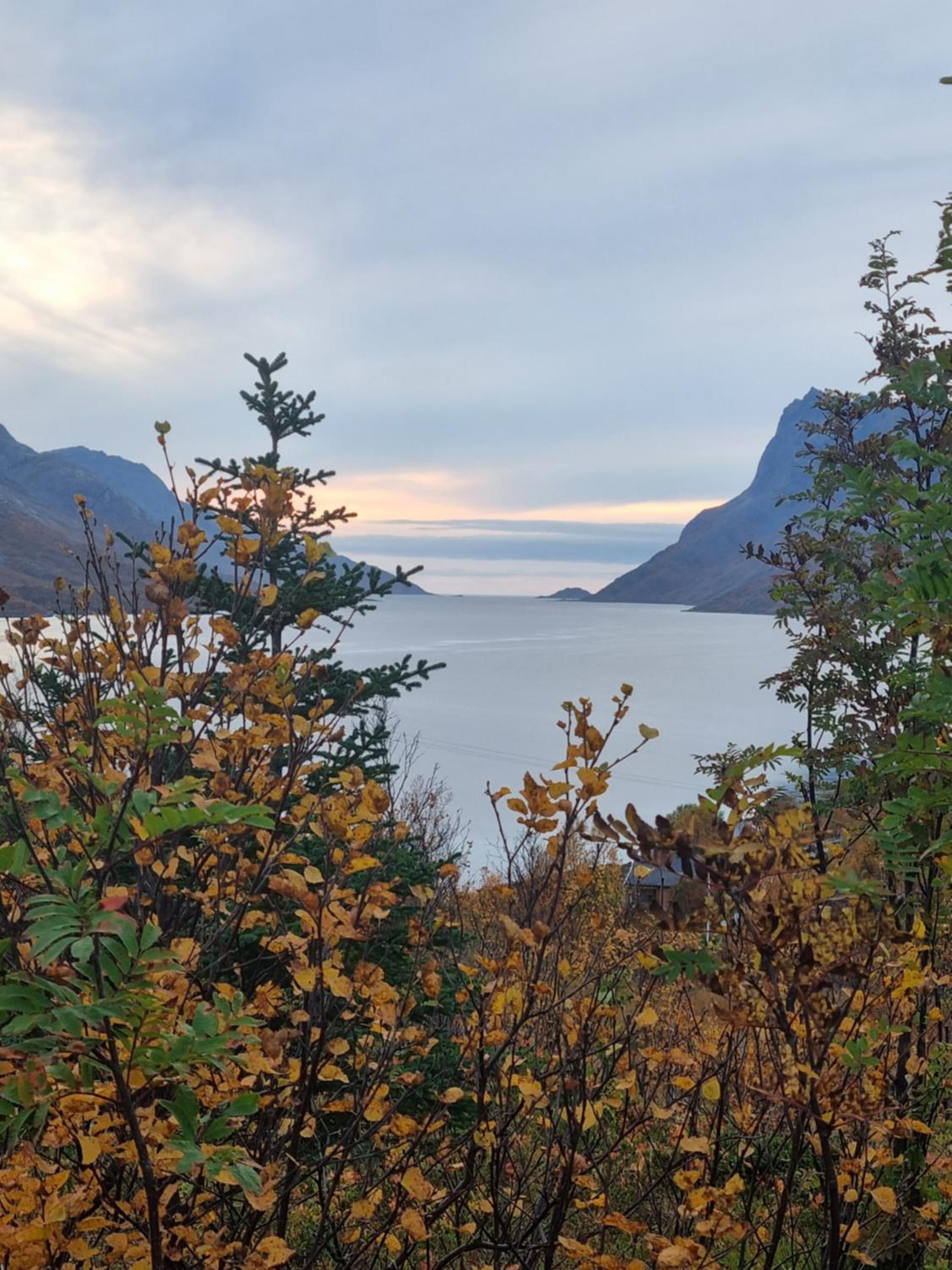 Koselig leilighet nær sentrum