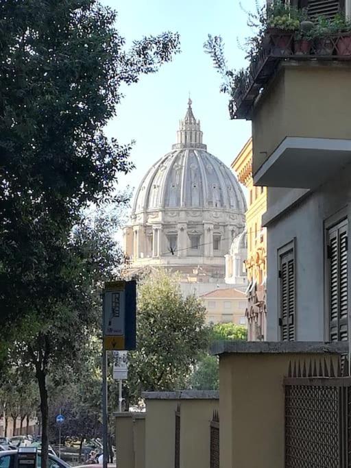 The NEW St. Peter's little stone