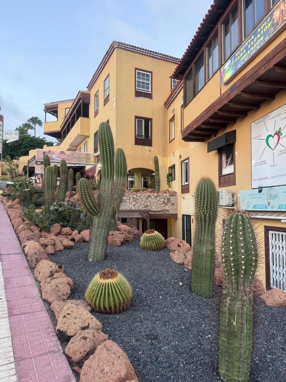 Las Américas Tropical Nights Apartment