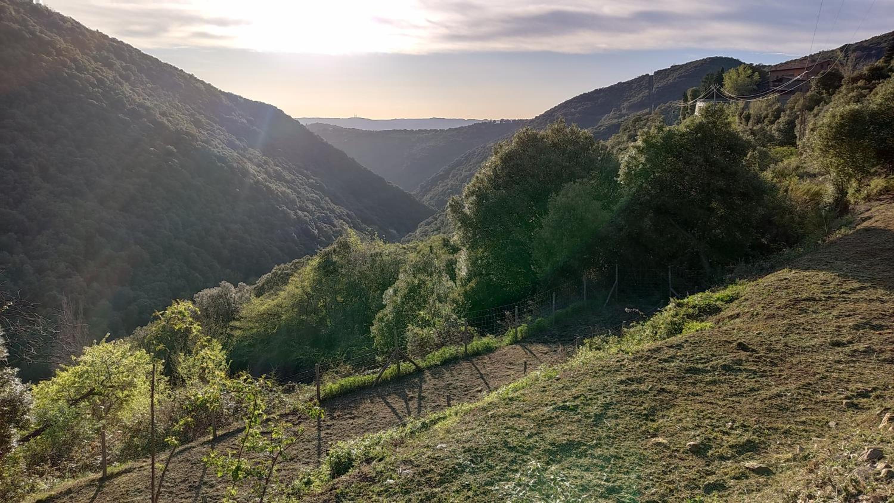 Masia La Morera