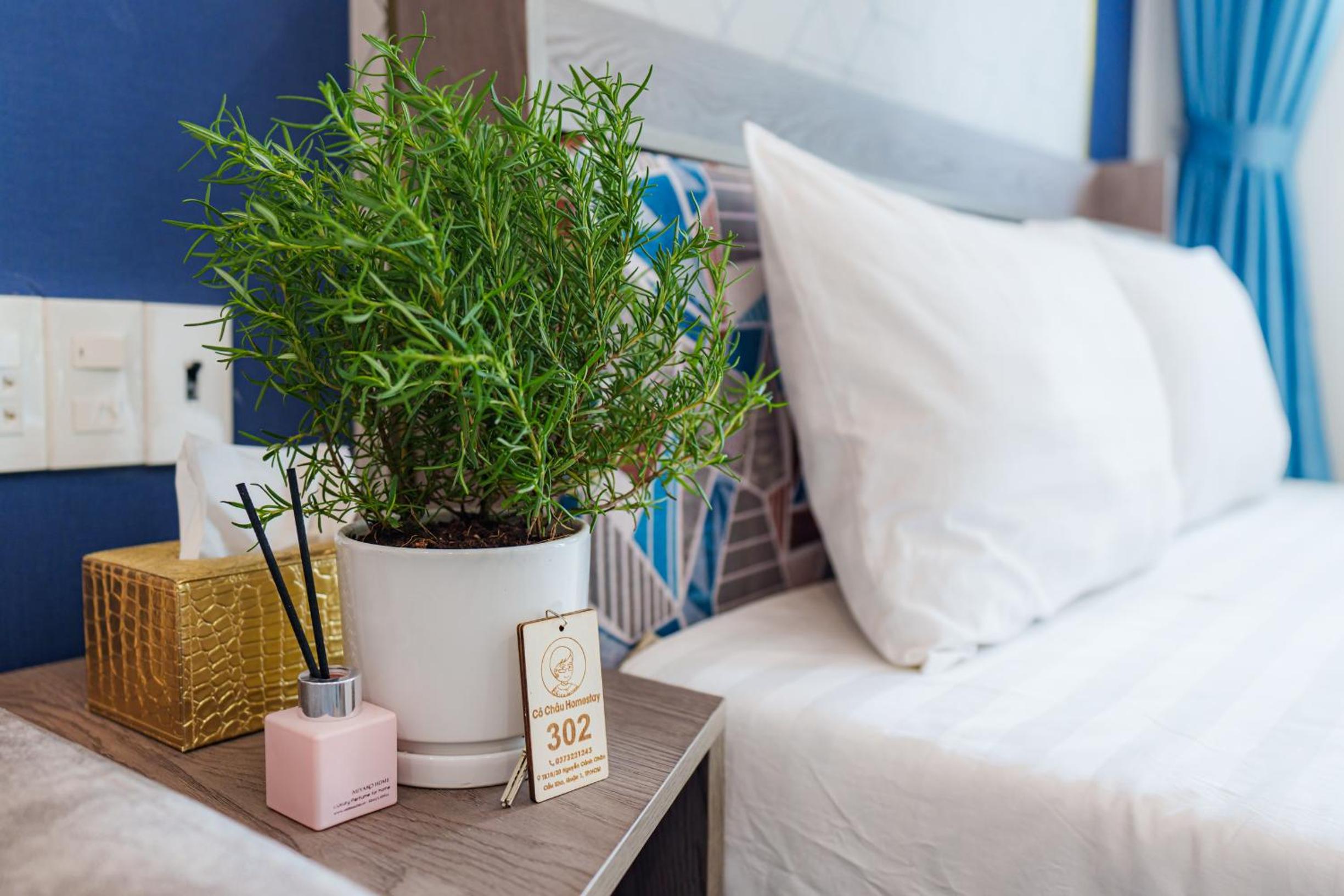 Cô Châu Homestay