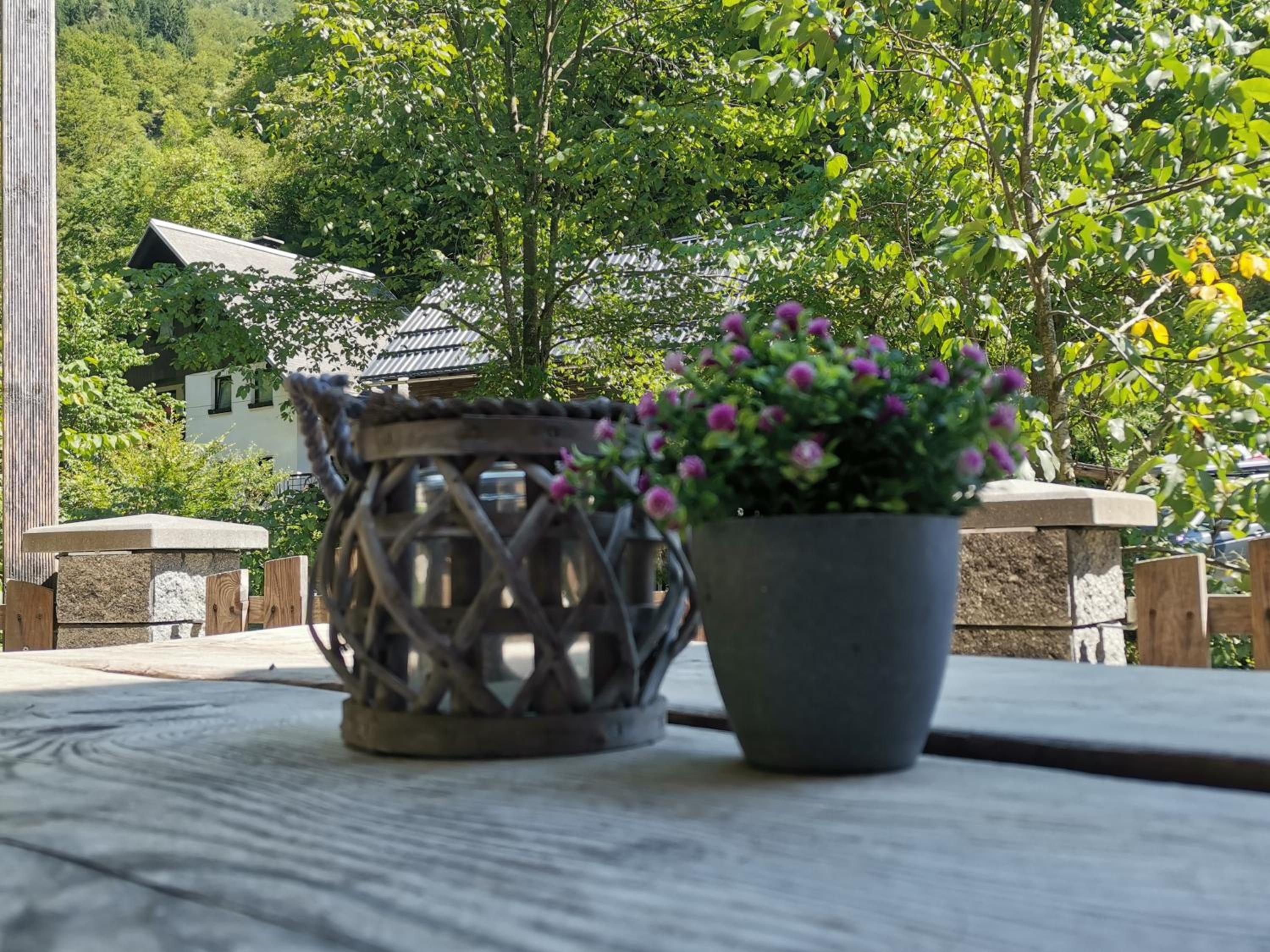 Apartma Bohinj view 3