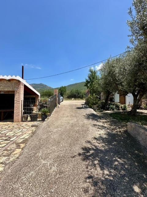 Photo 25