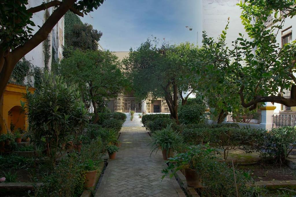 Alfaro Historic Aparment