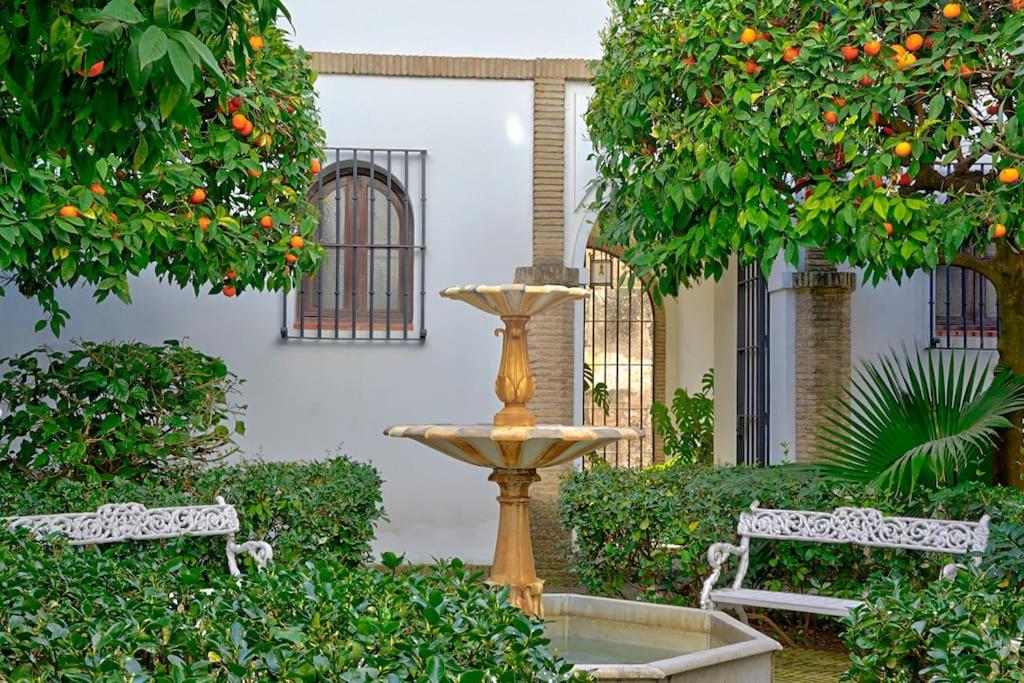 Alfaro Historic Aparment