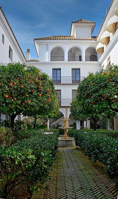 Alfaro Historic Aparment