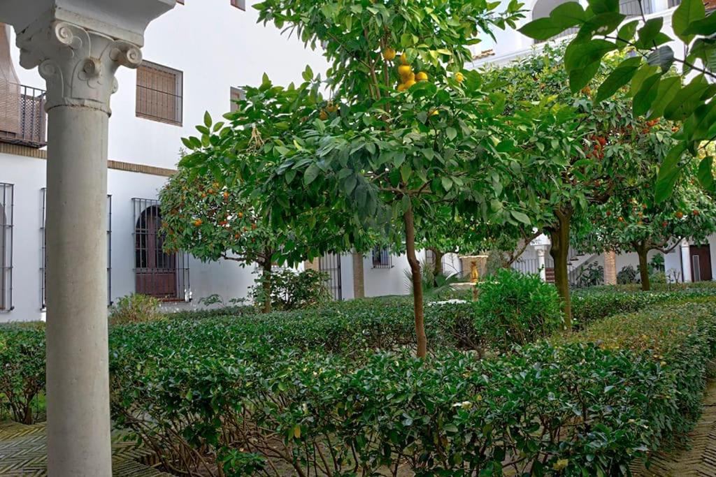 Alfaro Historic Aparment