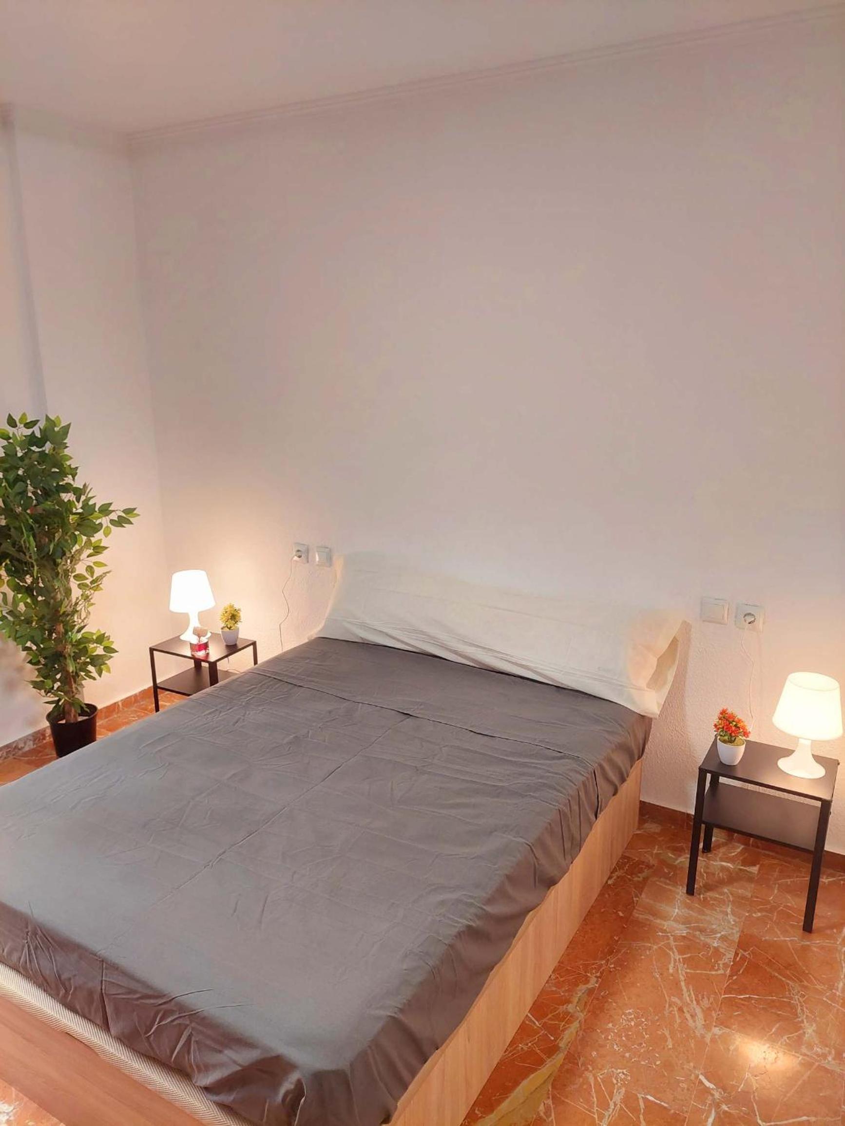 Piso Museo del Realismo-Catedral-Alcazaba-Free Parking-Wifi-Aire acondicionado view 2