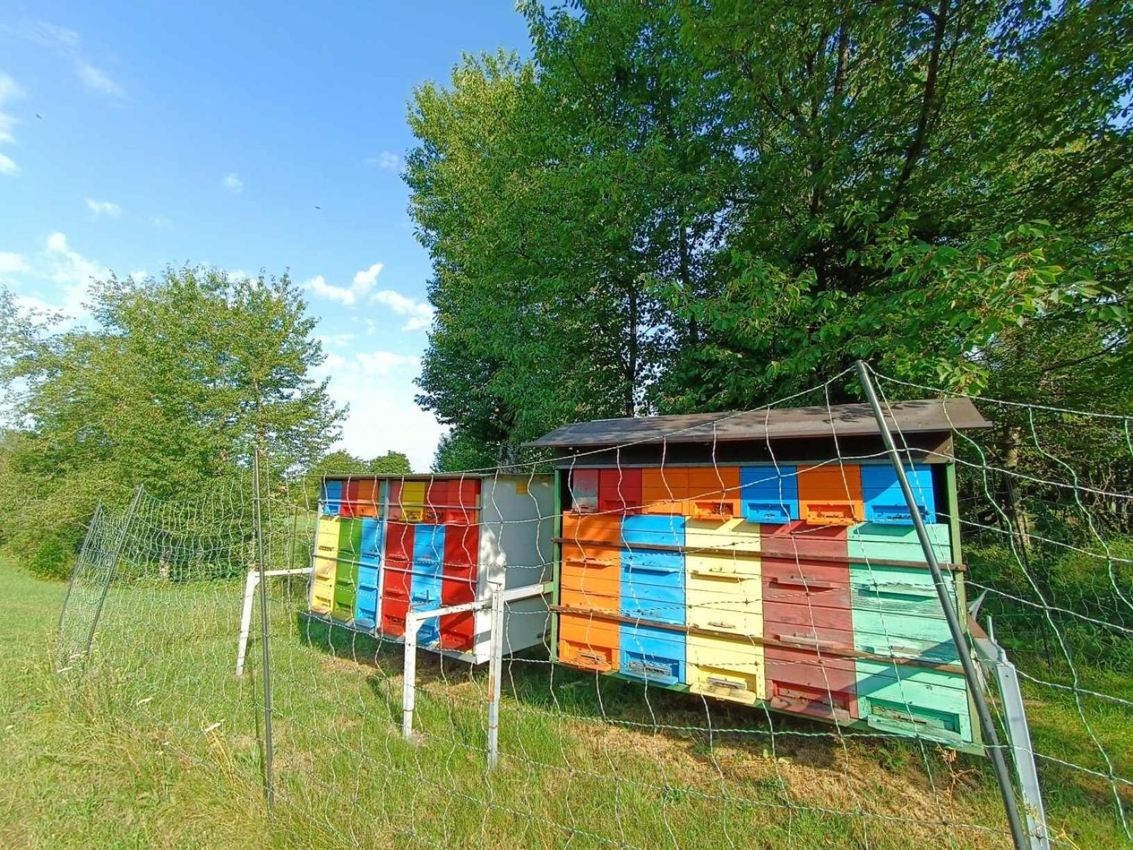 Apartma Mihatovi
