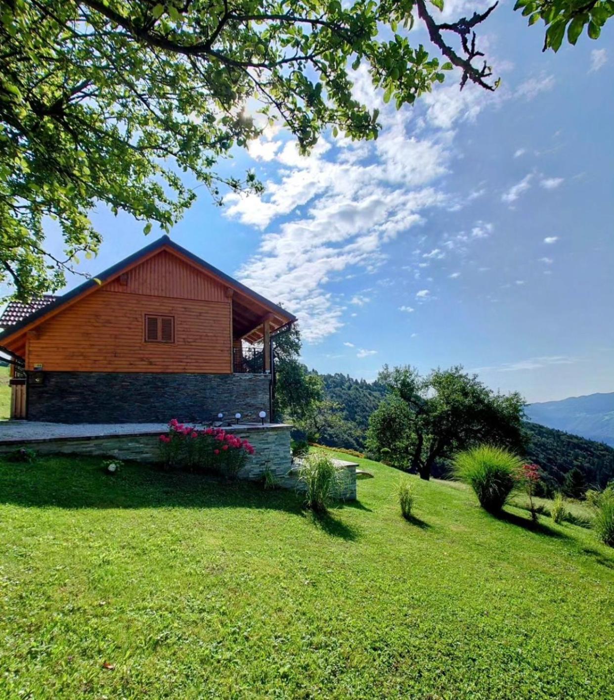 Apartment Boris Sveta Planina