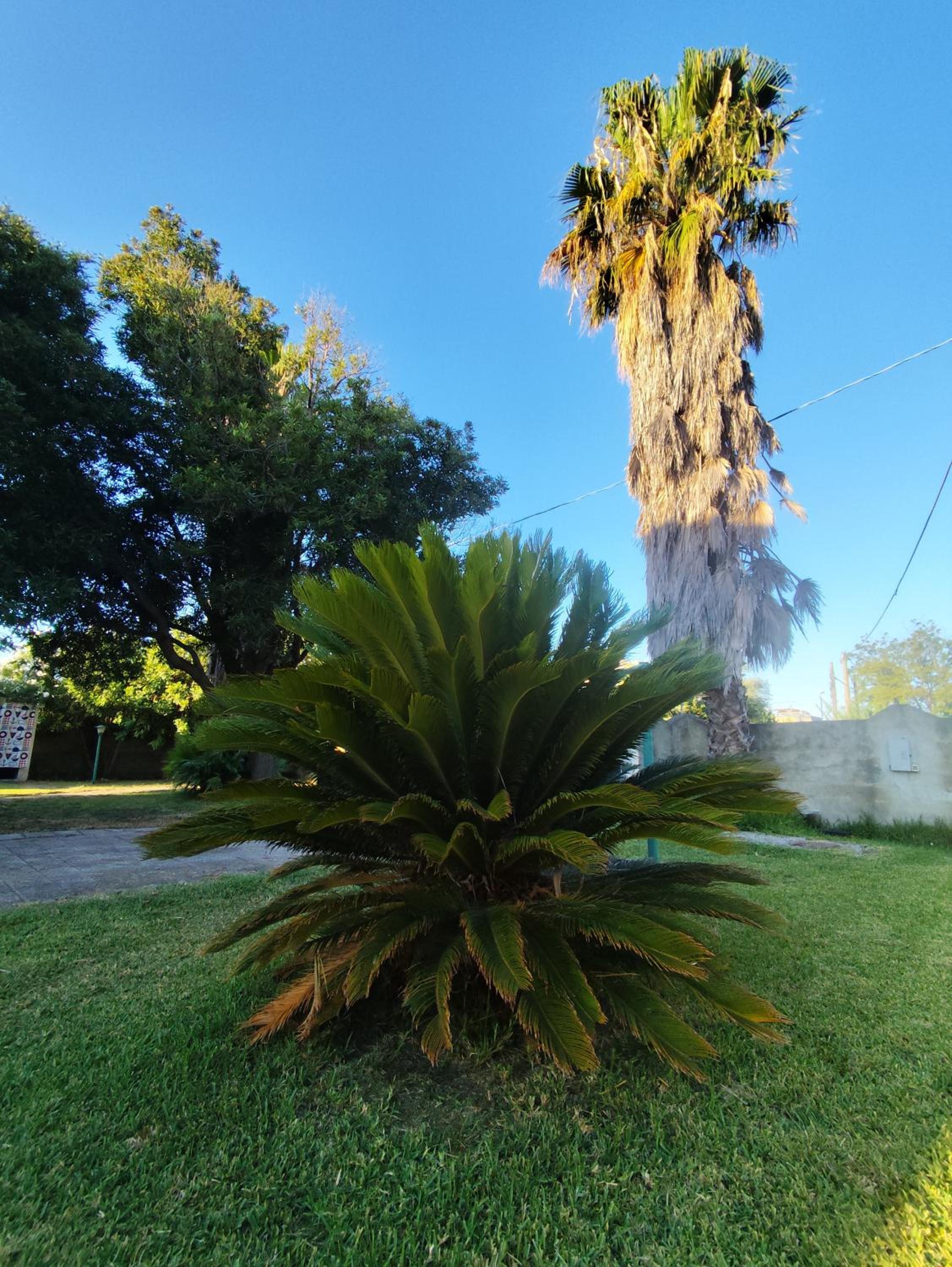 Photo 43