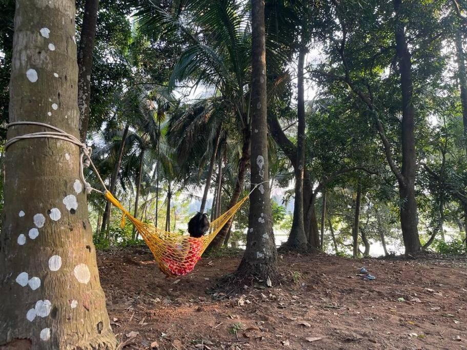 Neermathalam, a traditional kerala tharavadu