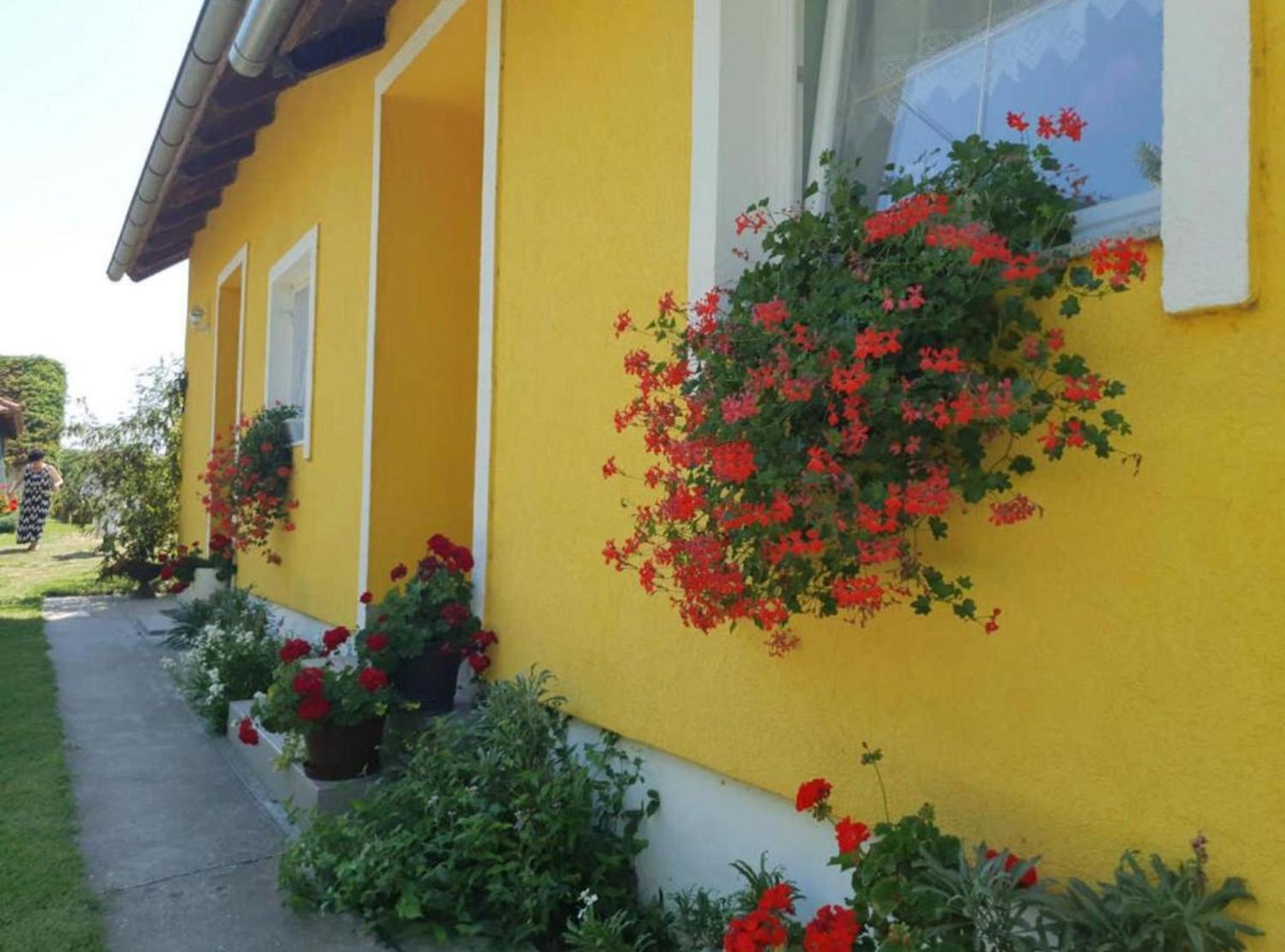 Apartment Čeliković