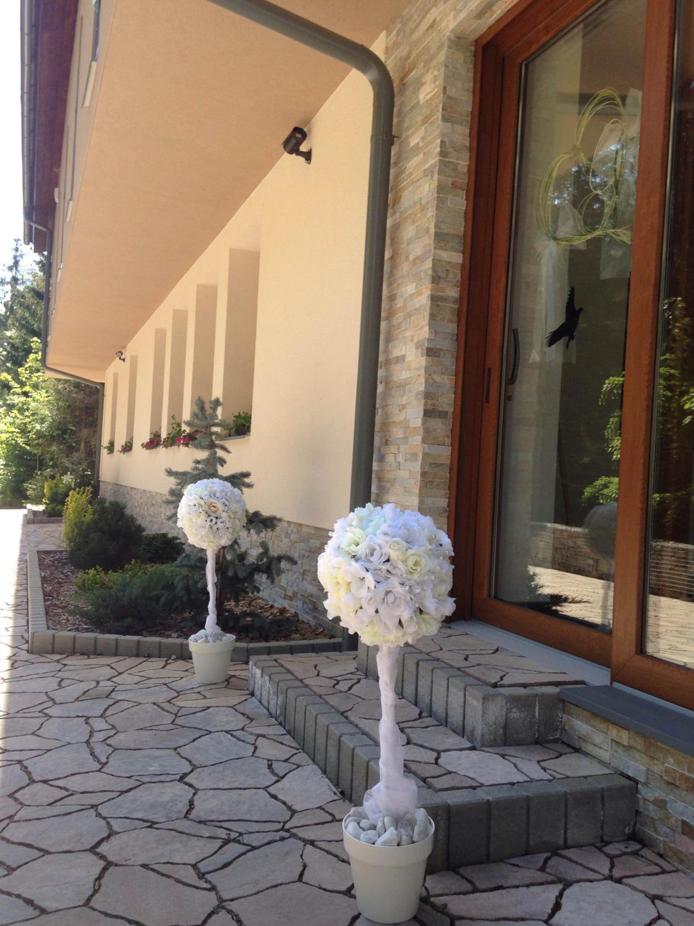Photo 47