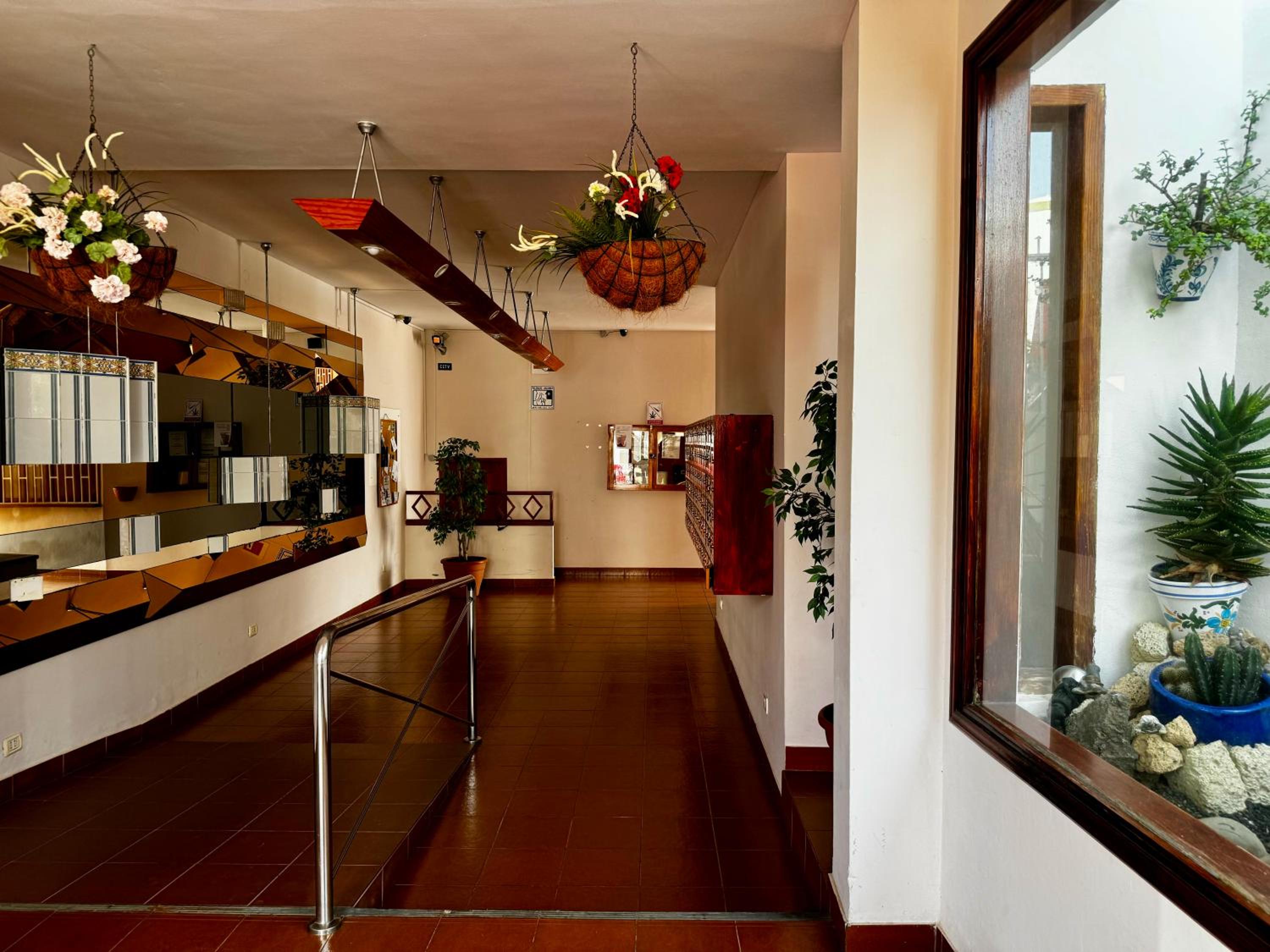 APARTMENT LOS DIAMANTES - Los Cristianos