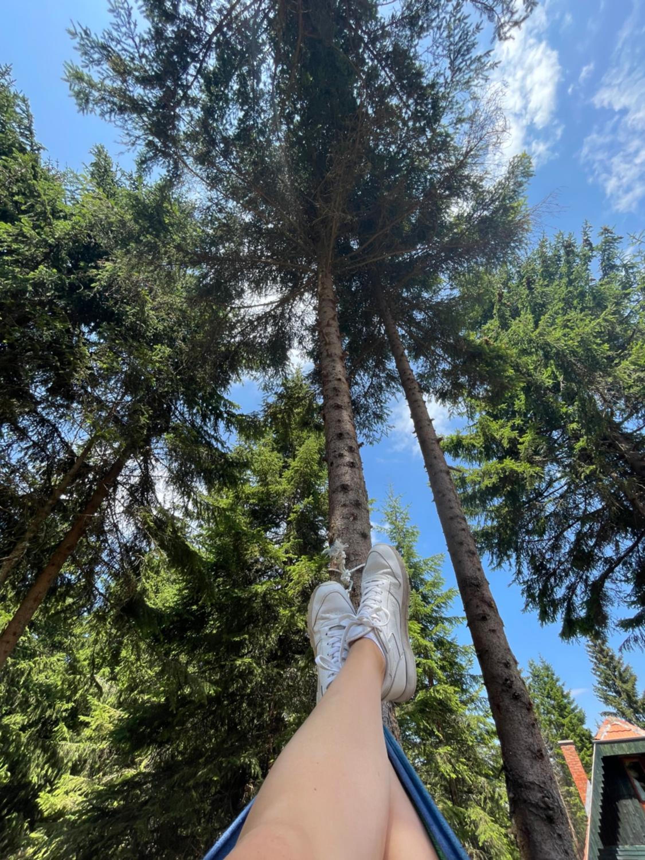 Zeleni chill view 2